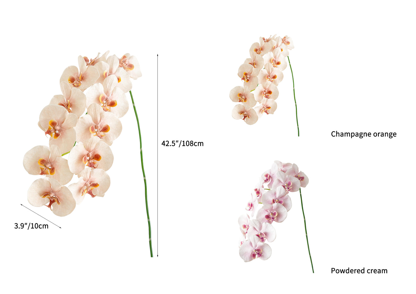 Cream Artificial Phalaenopsis Orchids -42.5"