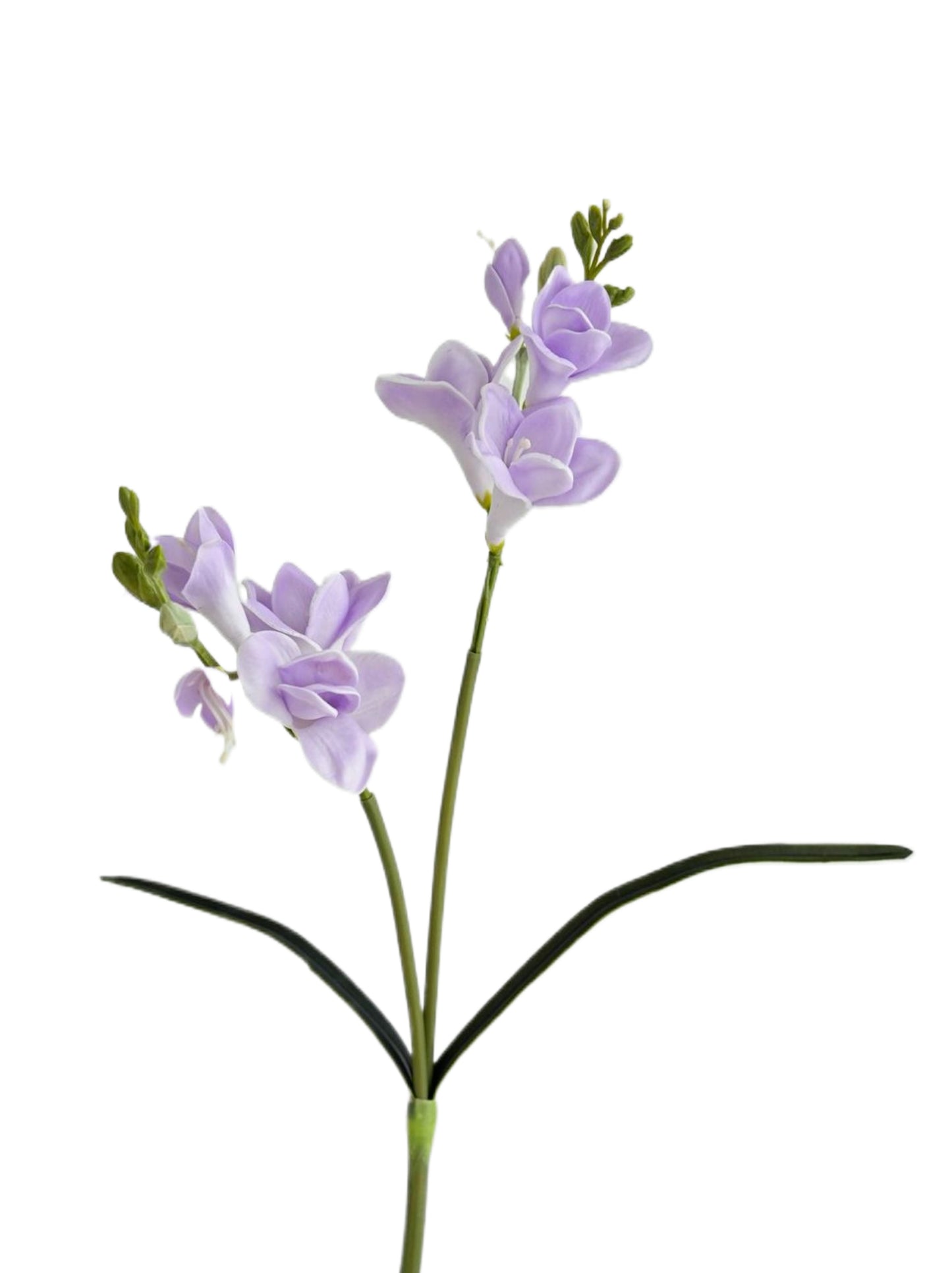 Artificial Freesia Flowers Imitation Hosta Flowers -21.6