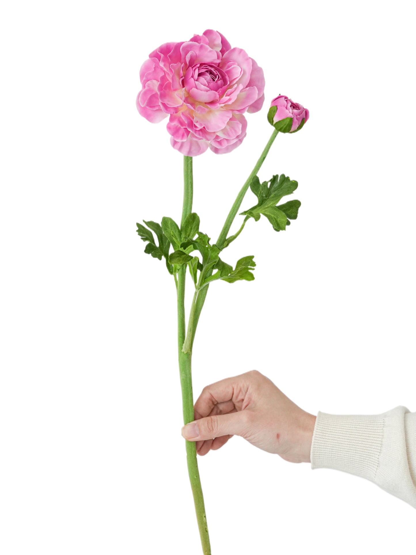 Faux Ranunculus Flower -20.8"