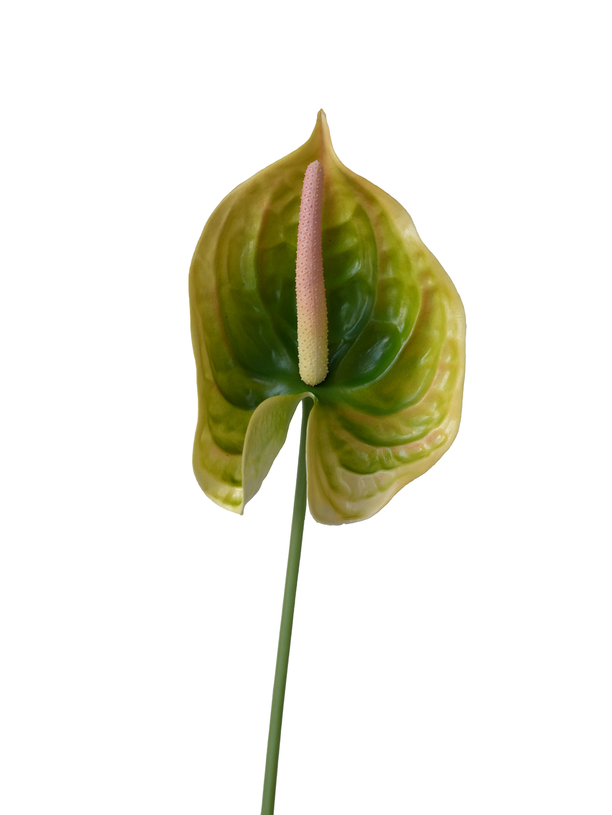 Green with Pink Center Rubber-Feel Artificial Anthurium Flamingo Flower 27"