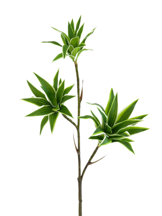 Artificial foliage green plants of Dracaena reflexa - 32.2"