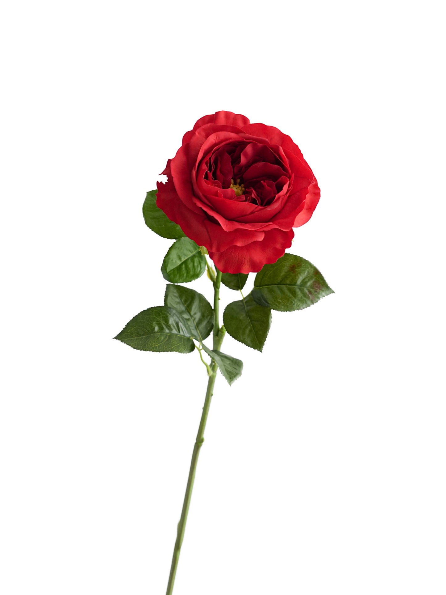 Artificial Austin roses with a realistic touch- 25.9"