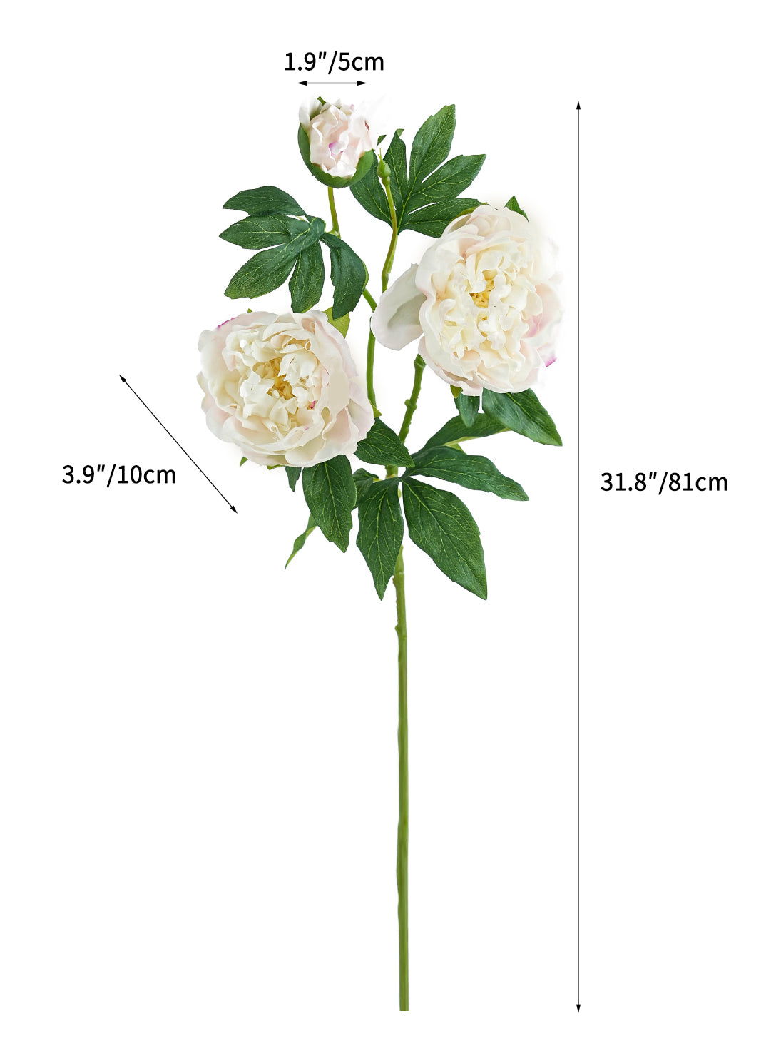 Cream Colors Faux Real Touch Peony Flower -31.8"