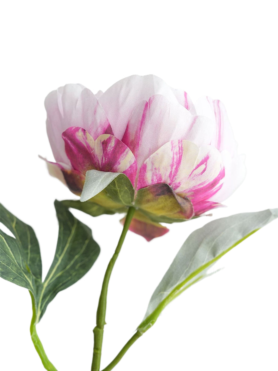 Fake Sarah Peony Artificial Sarah Bernhardt-20.4"