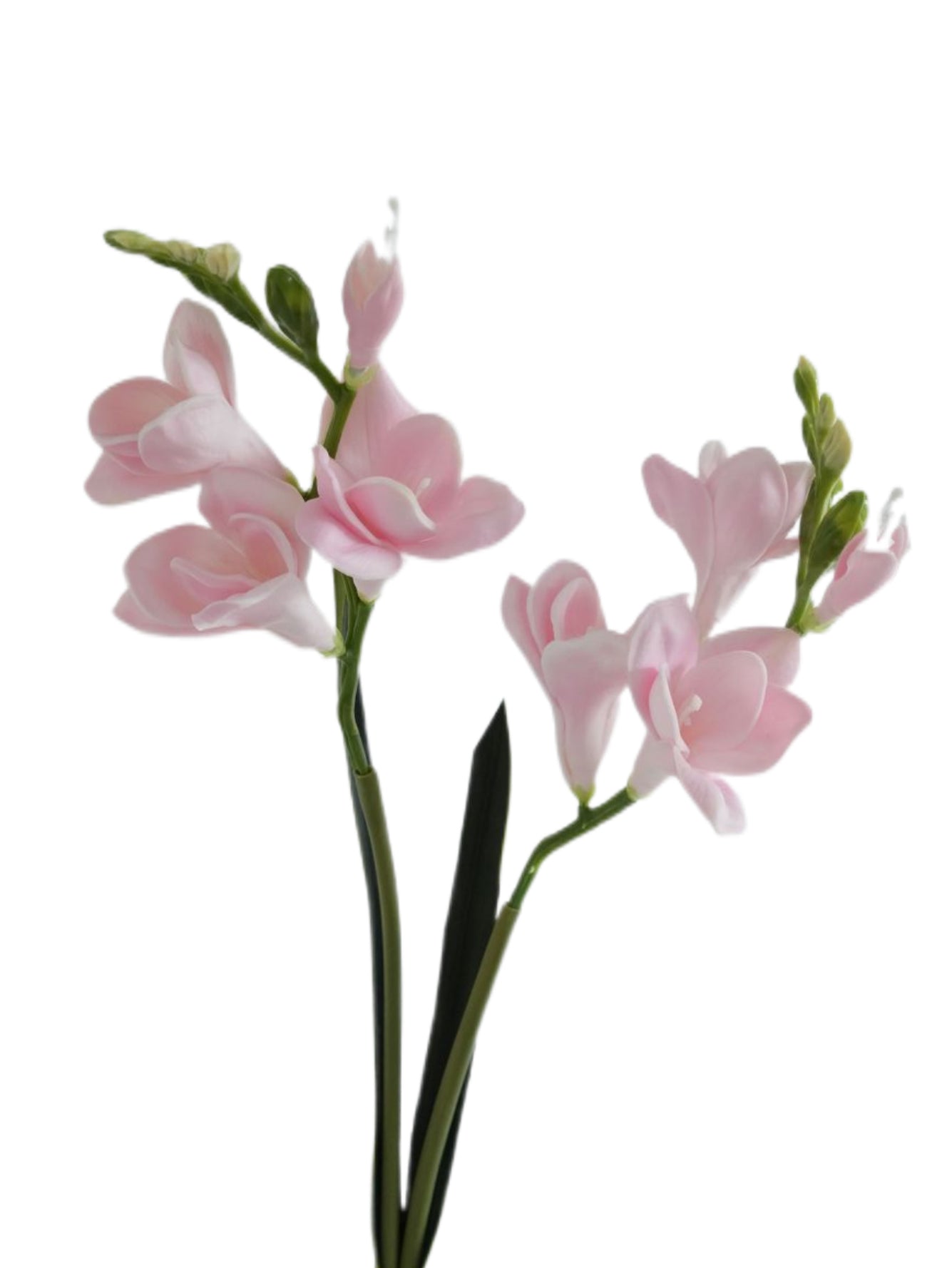 Artificial Freesia Flowers Imitation Hosta Flowers -21.6