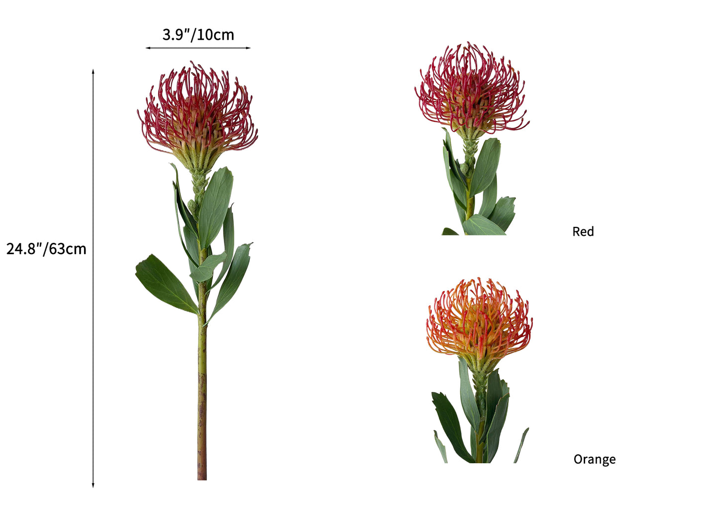 Artificial Leucospermum flower with realistic appearance-24.8"