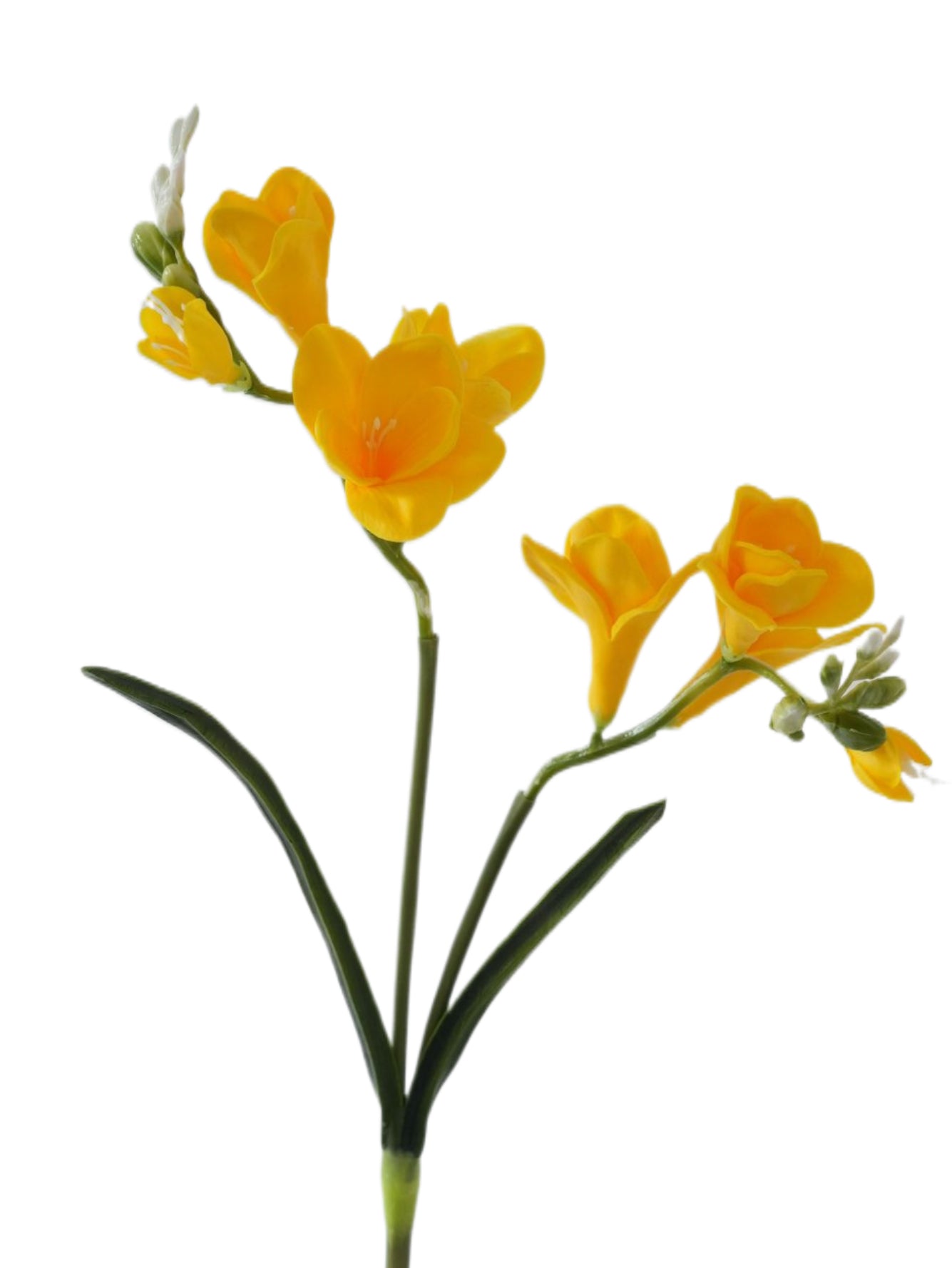 Artificial Freesia Flowers Imitation Hosta Flowers -21.6