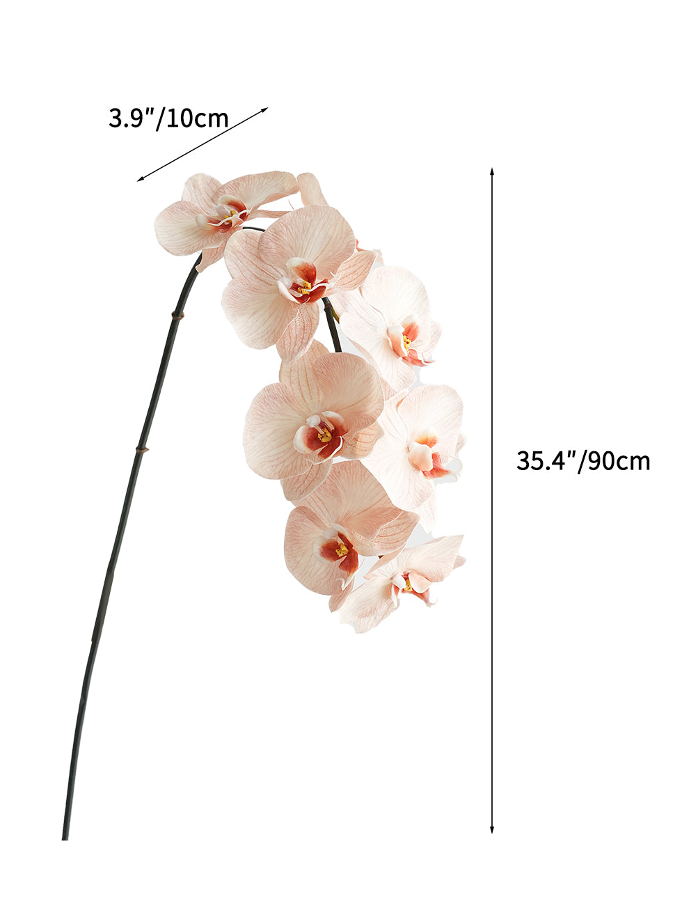 Artificial Phalaenopsis in Cream Color Palette-35"