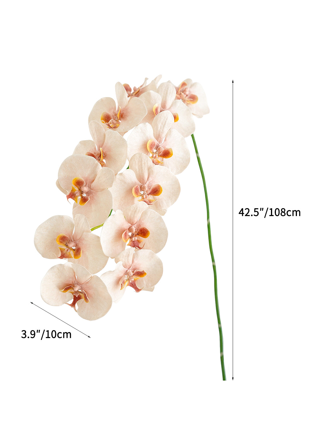 Cream Artificial Phalaenopsis Orchids -42.5"