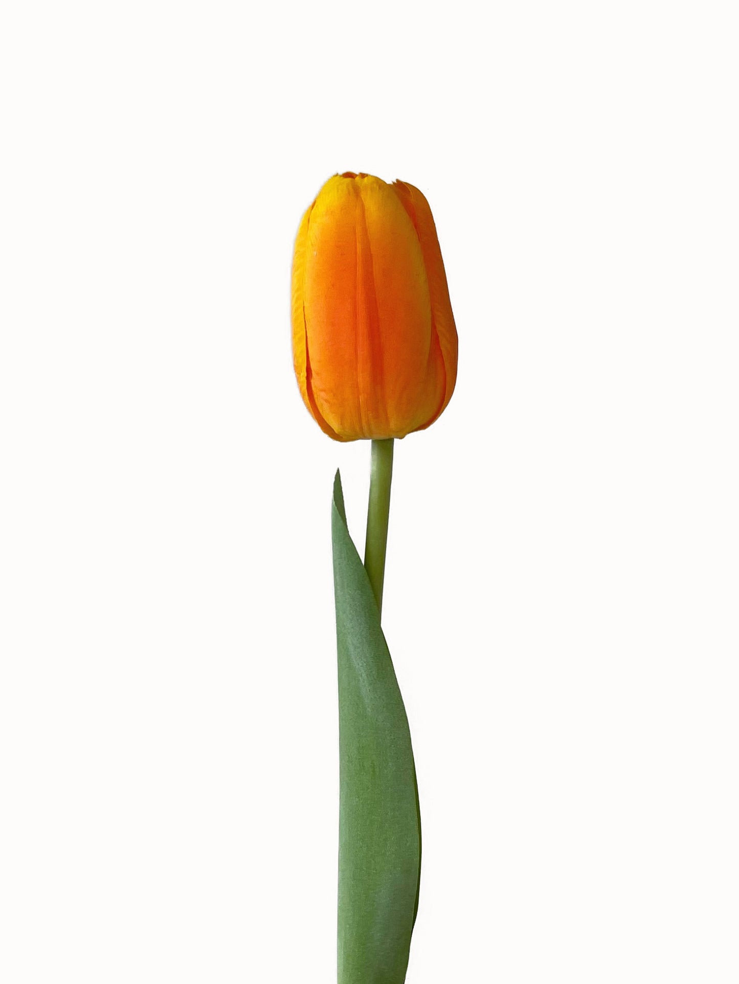 Real Touch Artificial Flowers Fake Tulips -18.8"
