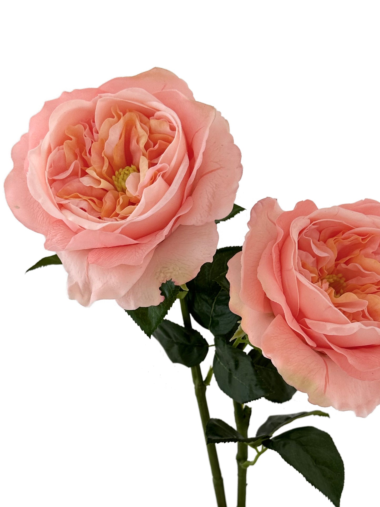 Artificial Austin roses with a realistic touch- 25.9"