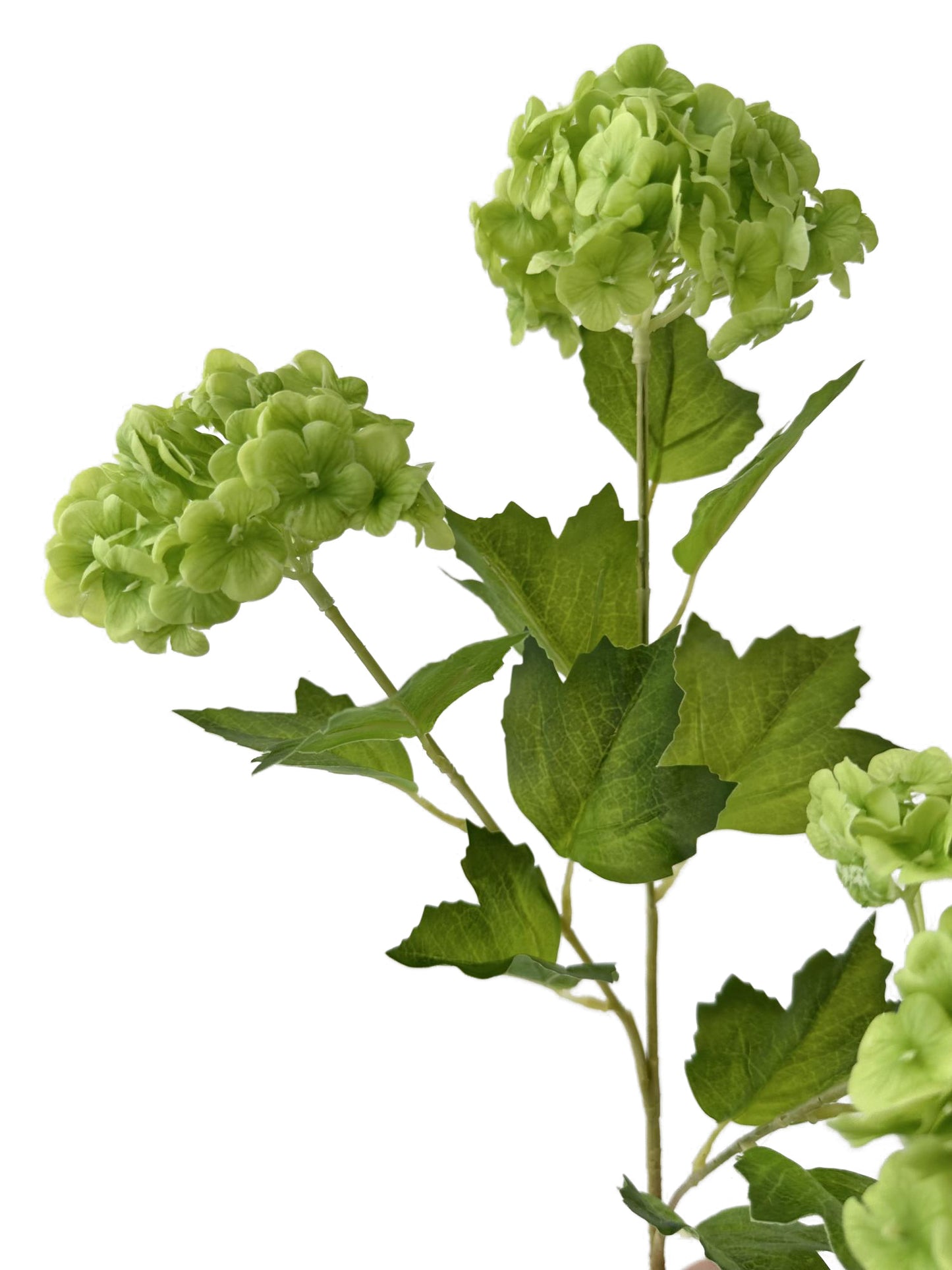 Artificial Viburnum macrocephalum flowers with a real touch- 26.4"
