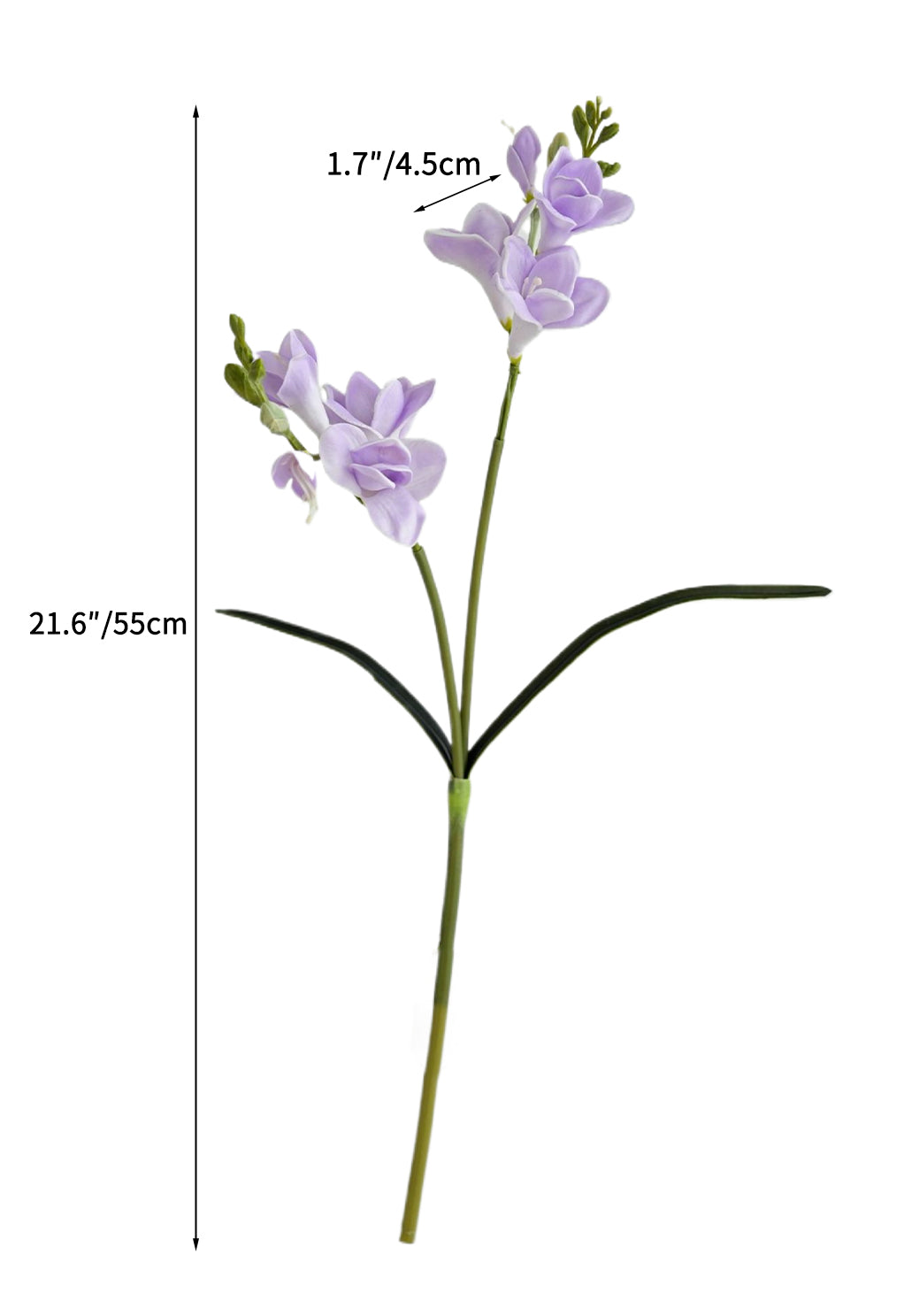 Artificial Freesia Flowers Imitation Hosta Flowers -21.6
