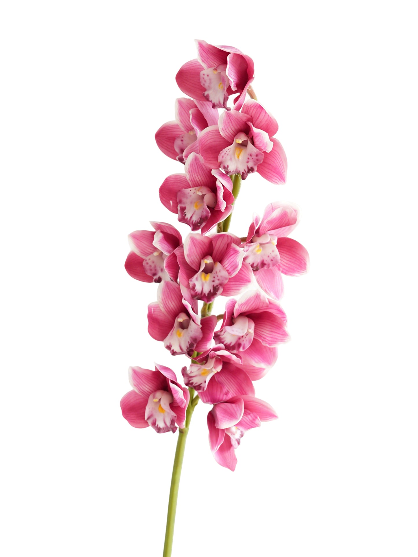 Large-sized artificial orchids with a realistic touch-37.4"