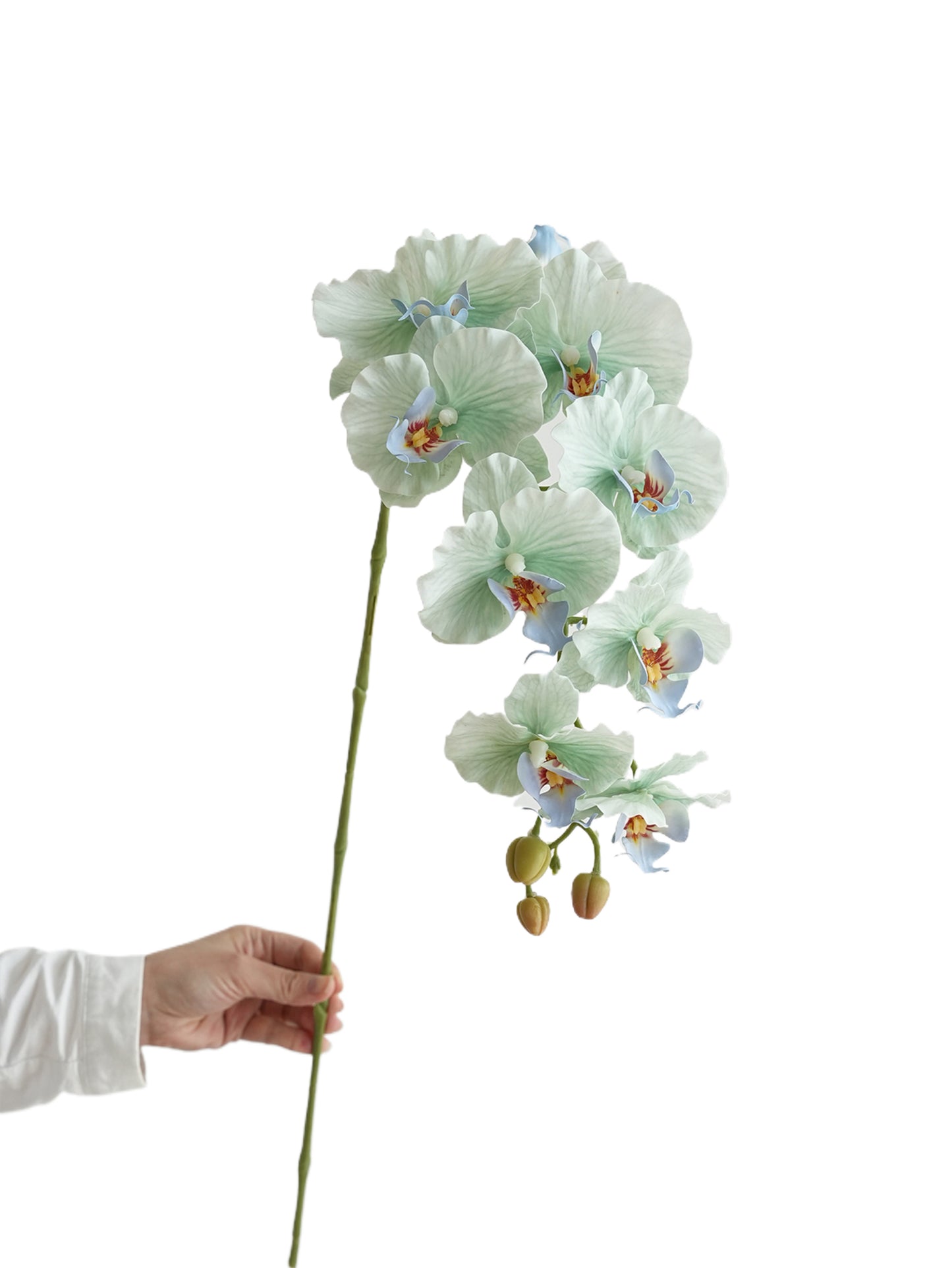 Colorful Artificial Phalaenopsis Orchids-38.5"