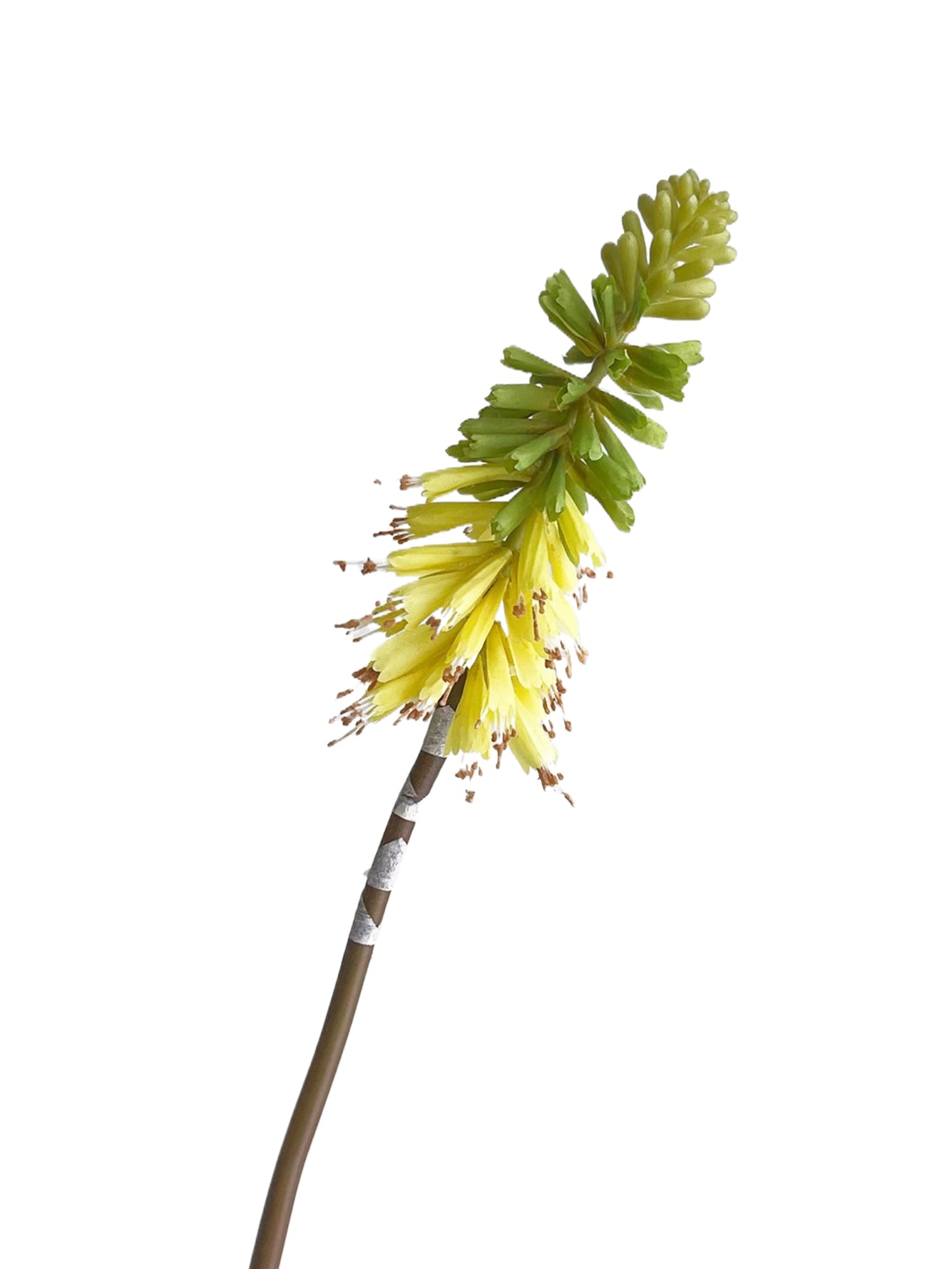 Gorgeous Artificial Torch Lily-27.1"