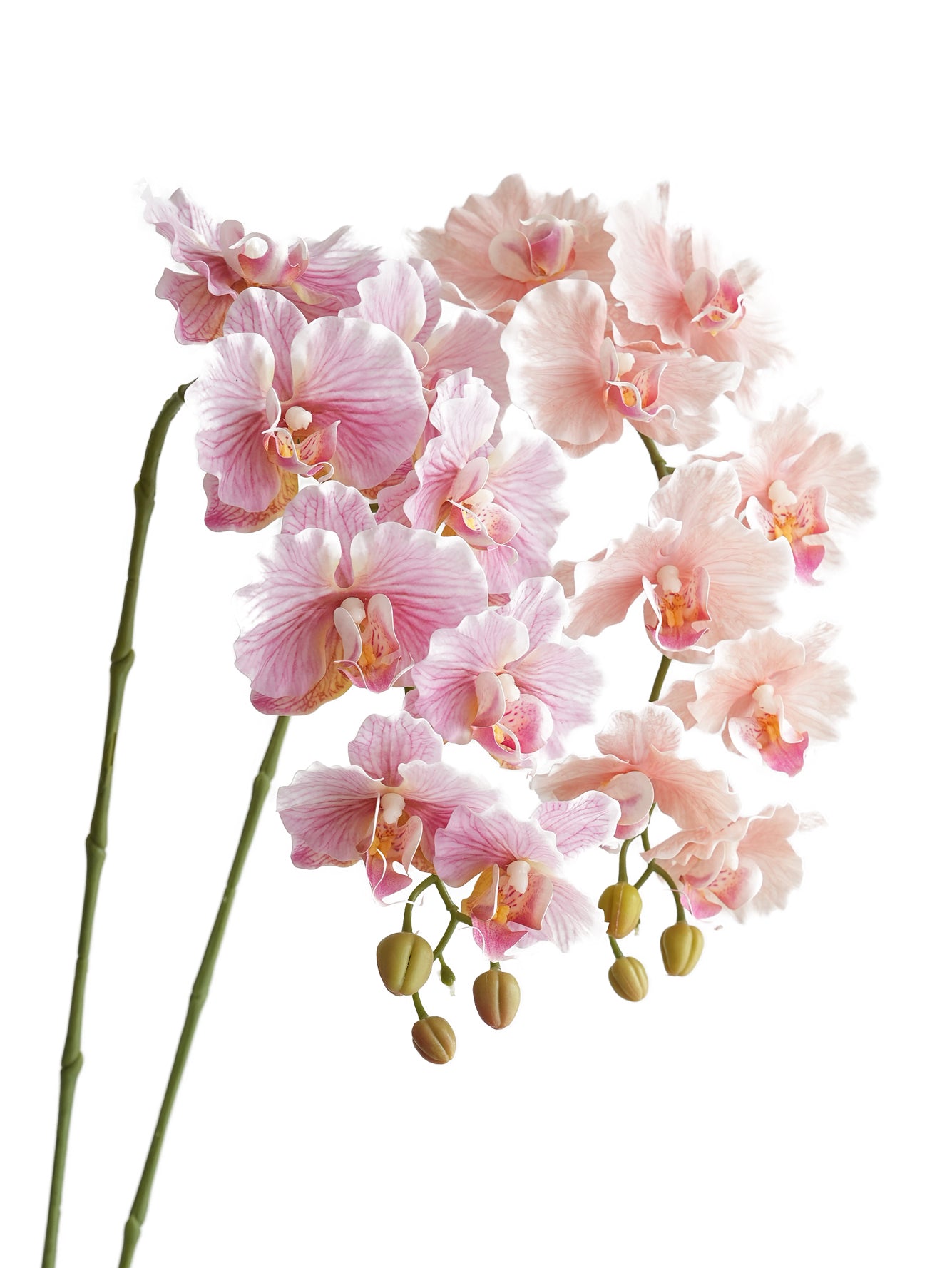 Colorful Artificial Phalaenopsis Orchids-38.5"