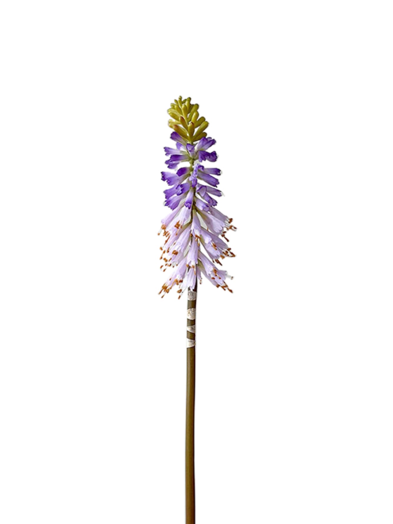 Gorgeous Artificial Torch Lily-27.1"
