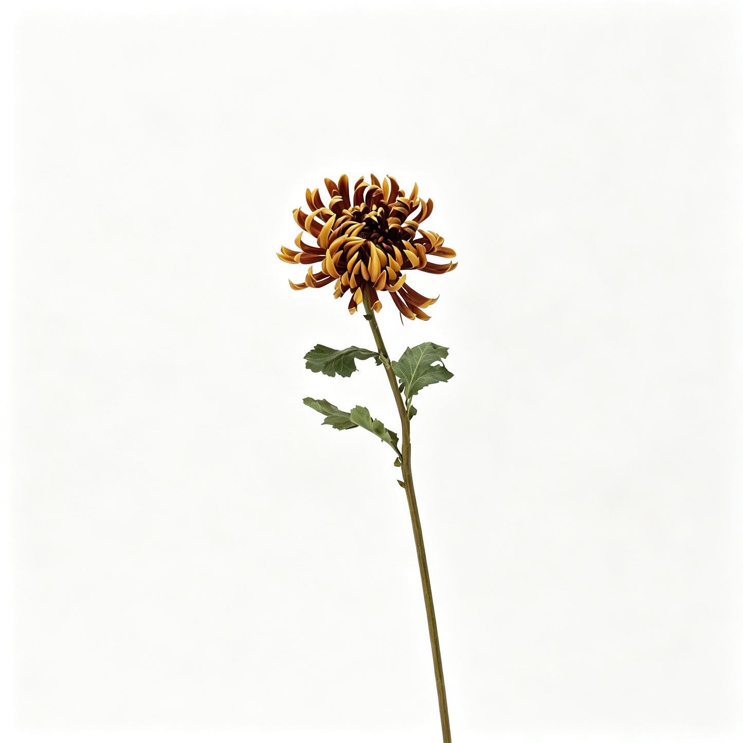 Large Double‑Petal Artificial Chrysanthemum‑23.6"