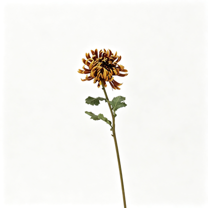 Large Double‑Petal Artificial Chrysanthemum‑23.6"