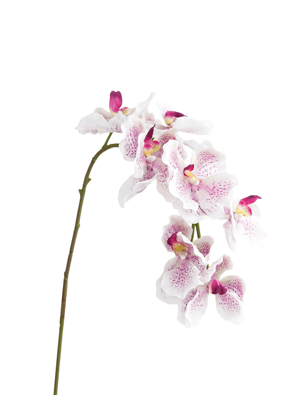 Artificial Vanda Orchid -31.5"