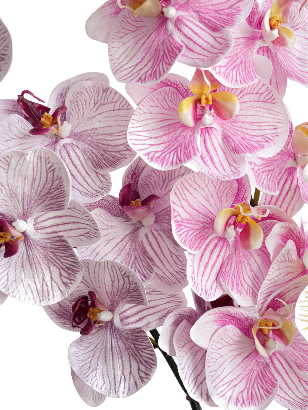 Artificial Phalaenopsis in Cream Color Palette-35"