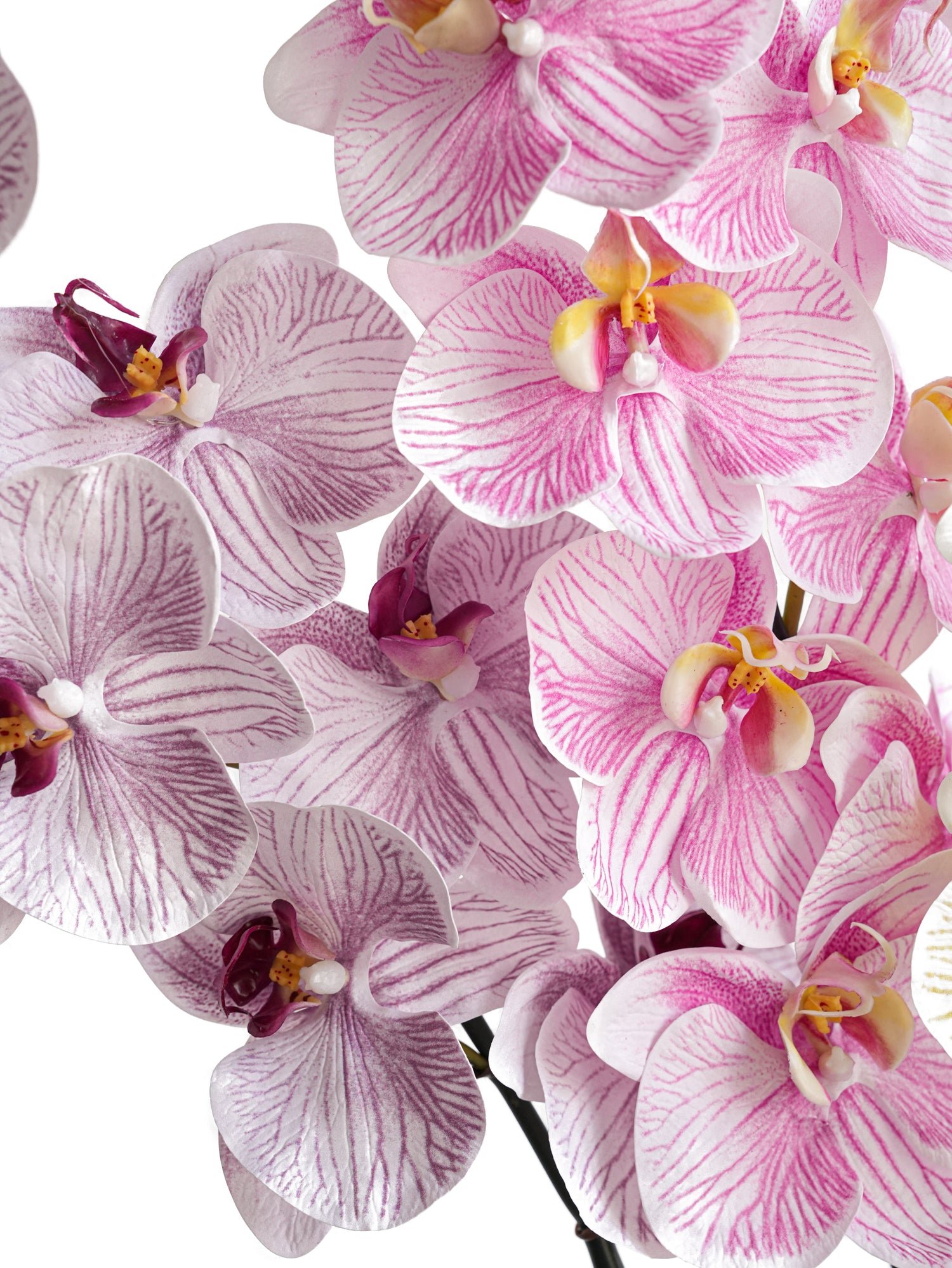 Artificial Phalaenopsis in Cream Color Palette-35"