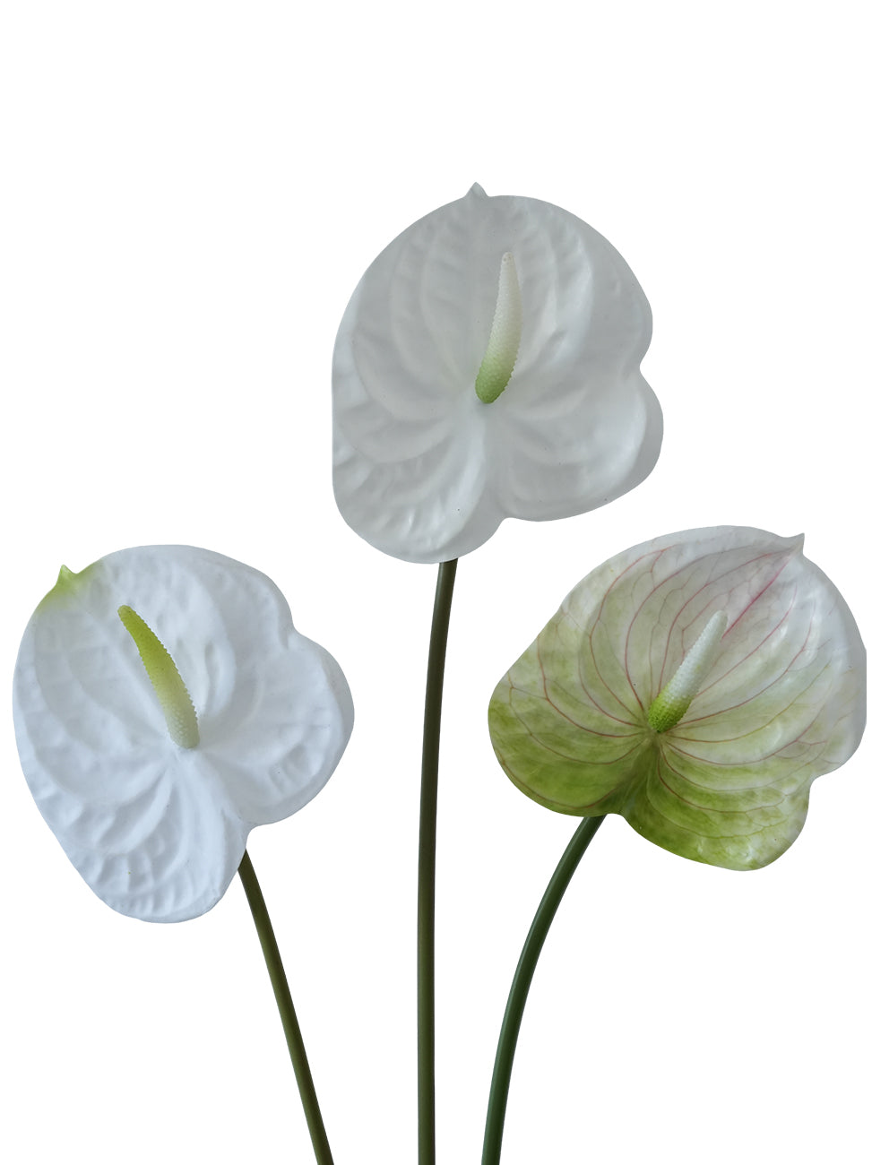 Small-sized artificial Anthurium flowers- 22.4"