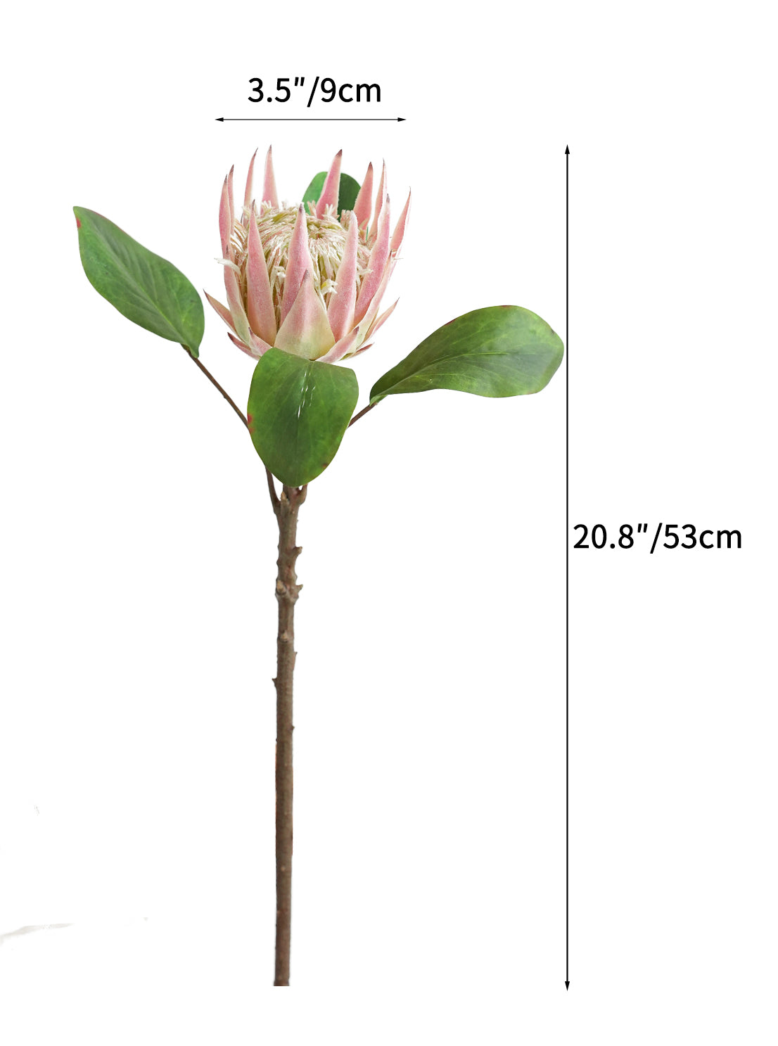 Artificial Protea cynaroides flowers from South Africa- 20.9"