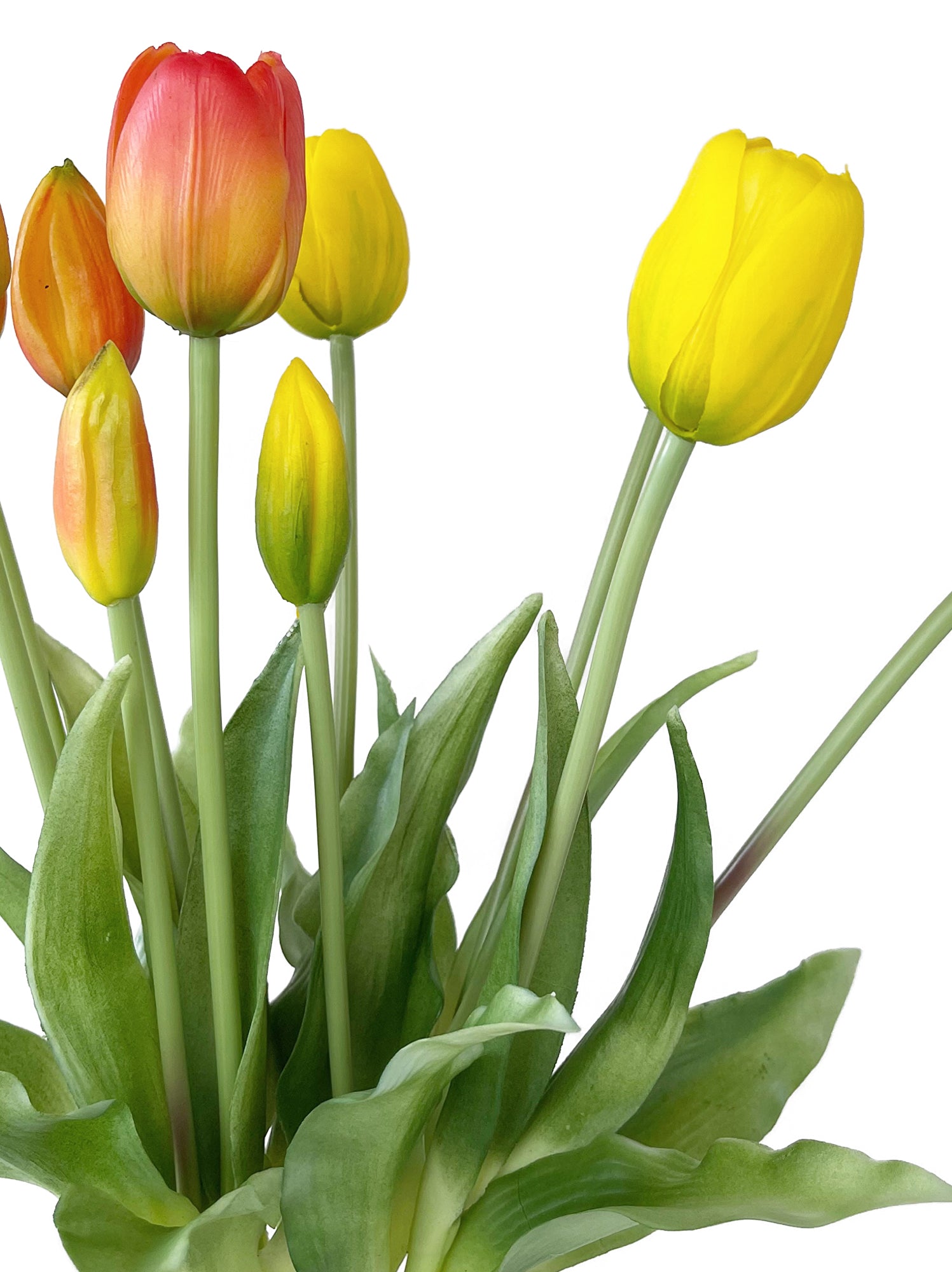 A bunch of artificial tulip flowers with 5 blooms -15.7 "