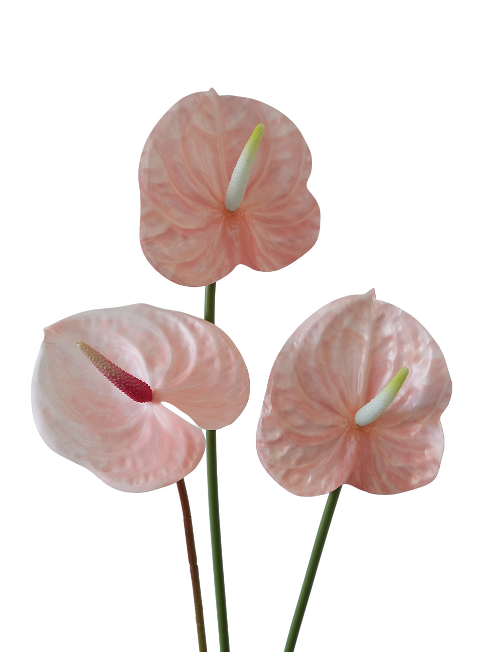 Small-sized artificial Anthurium flowers- 22.4"