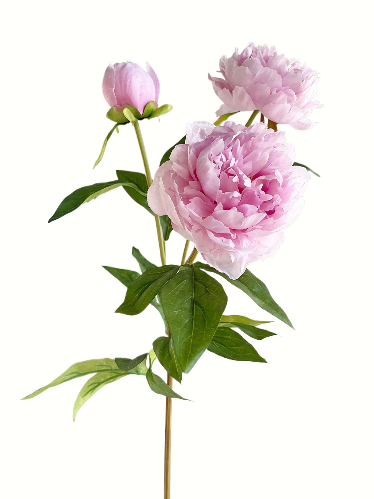 A bunch of artificial peony flowers with 3 blooms-29.5 "