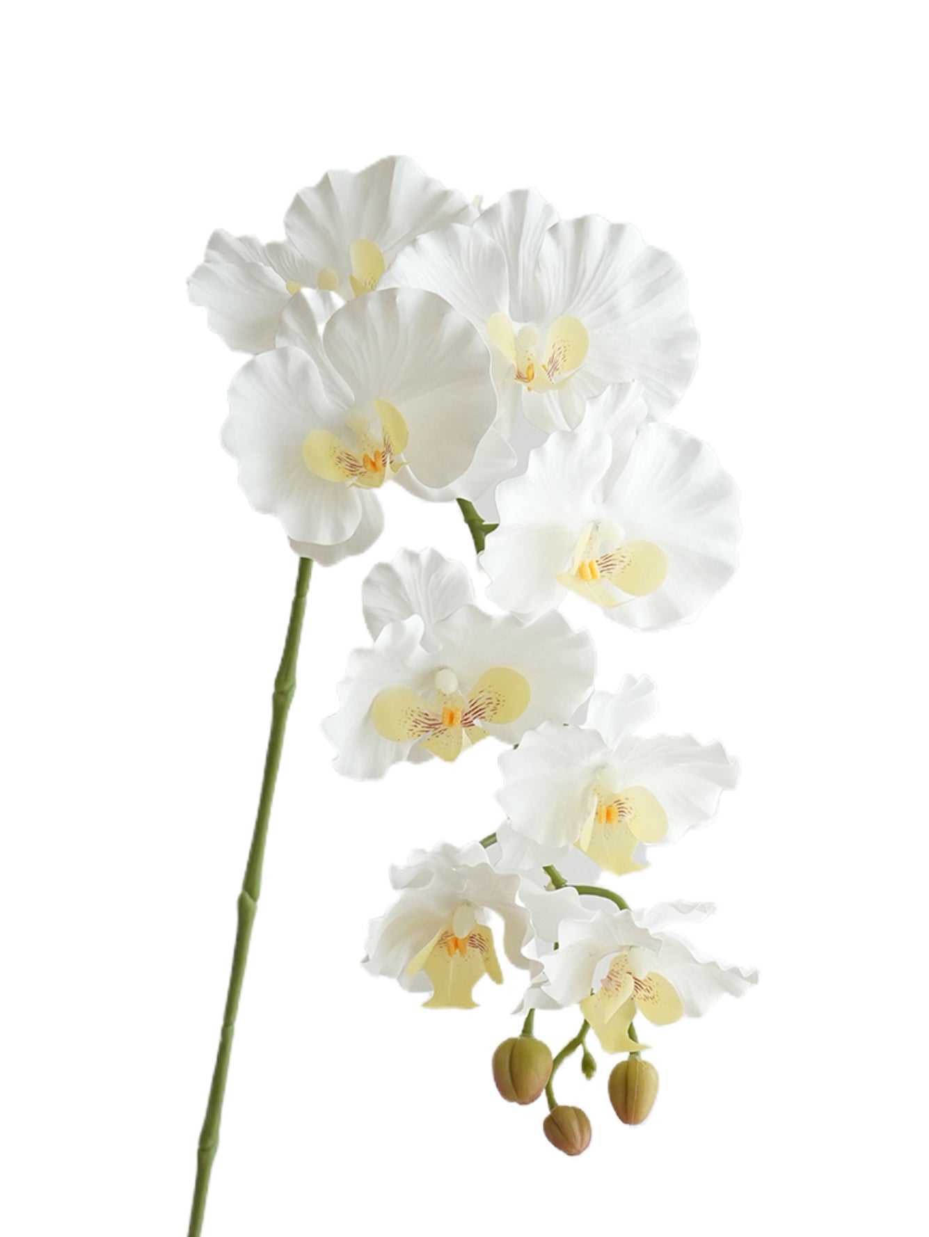 Colorful Artificial Phalaenopsis Orchids-38.5"
