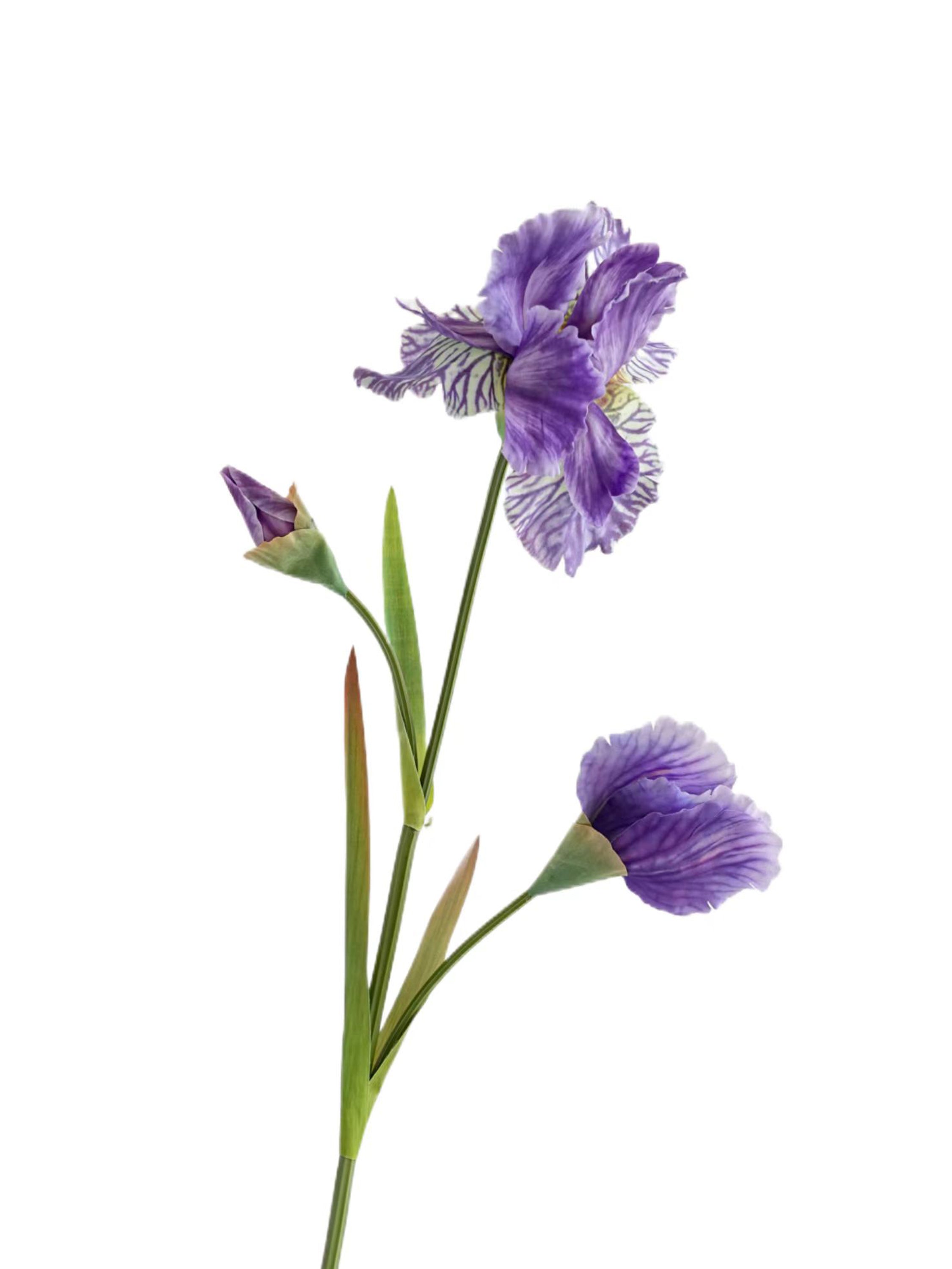 Artificial Iris Flowers of Luxurious Quality-31.1"