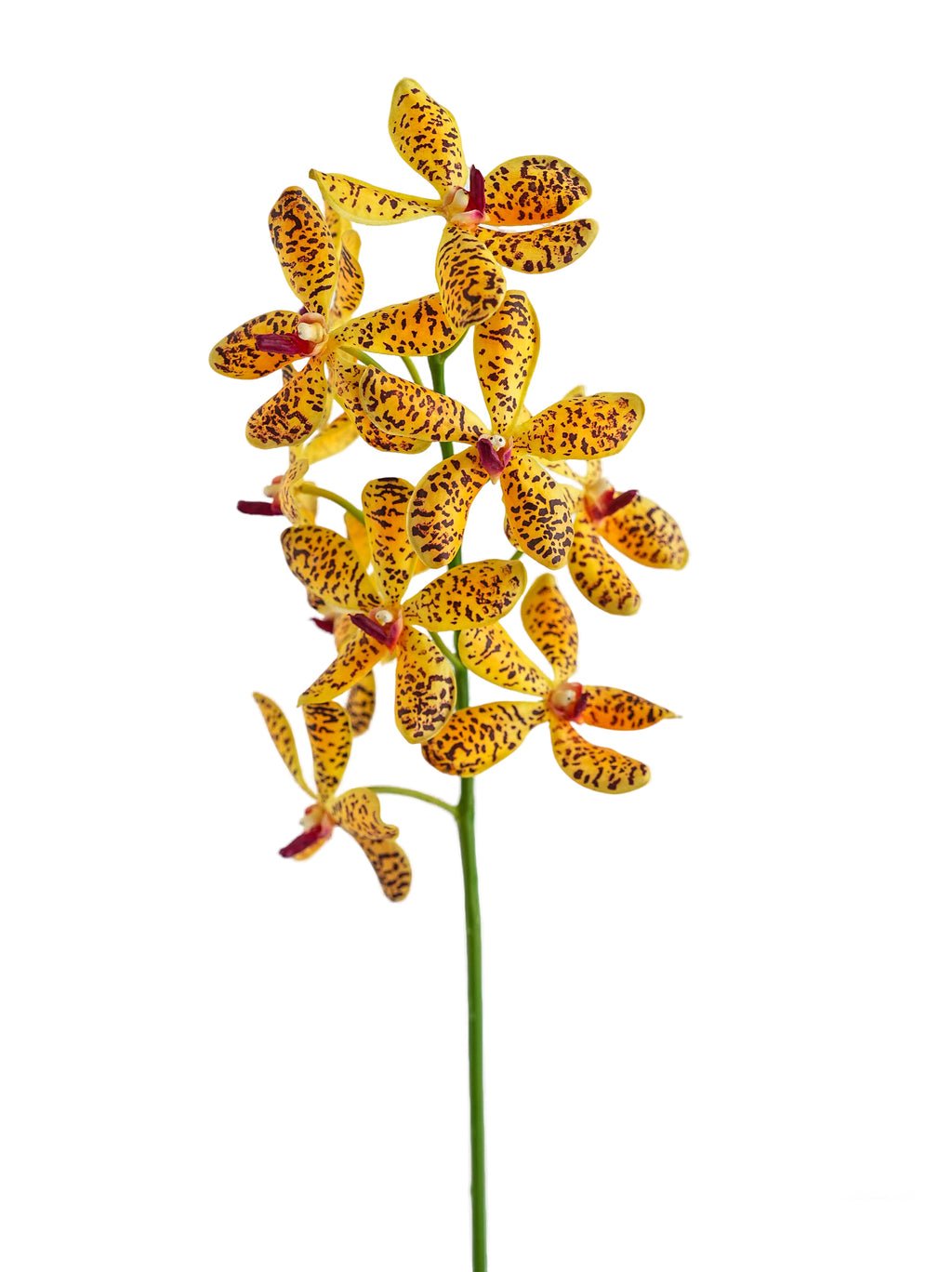 Lifelike Artificial Vanda Orchids -25.1"