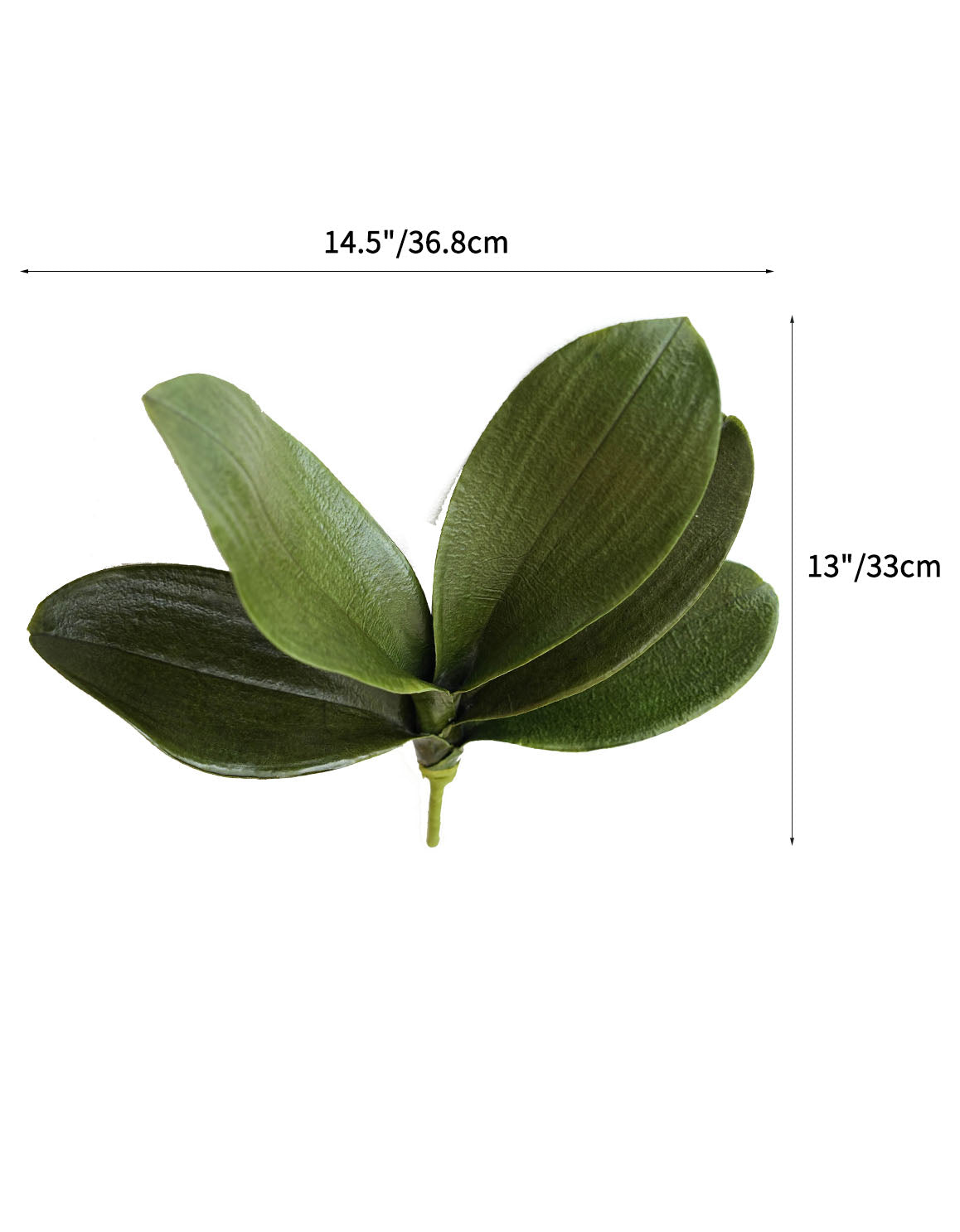 Artificial Phalaenopsis Orchid Leaf Plant-13"