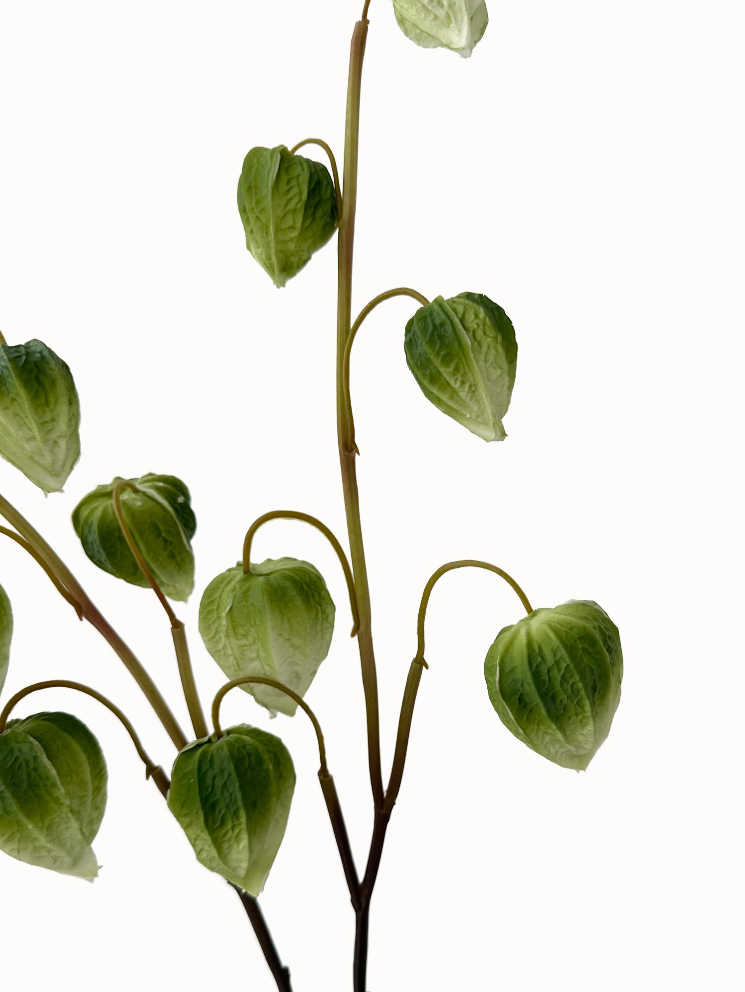 Simulated Ground Cherries Artificial Cape Gooseberry -27.9"