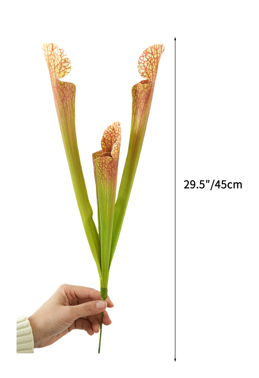 Artificial Sarracenia  -17.7"