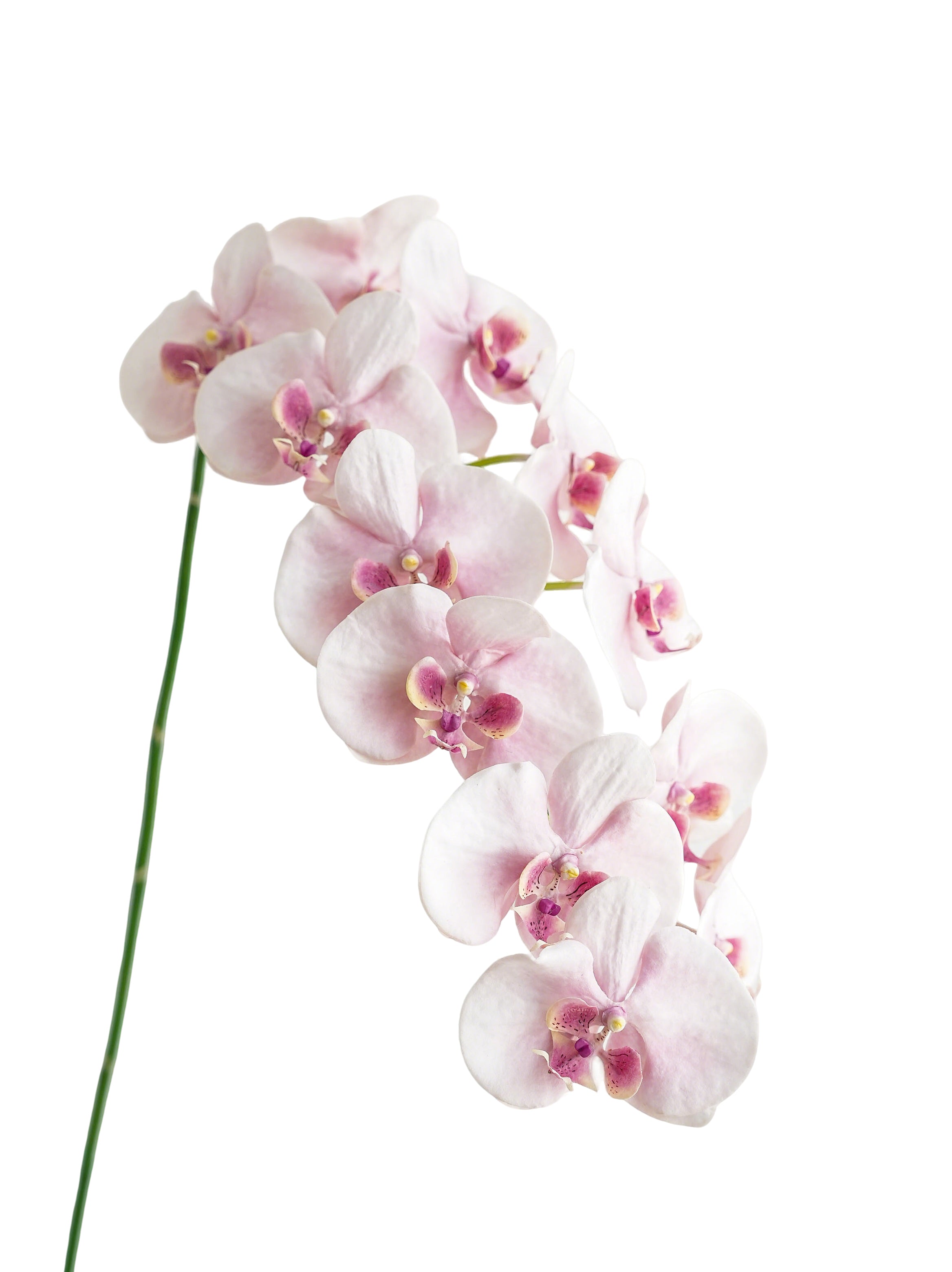 Cream Artificial Phalaenopsis Orchids -42.5"