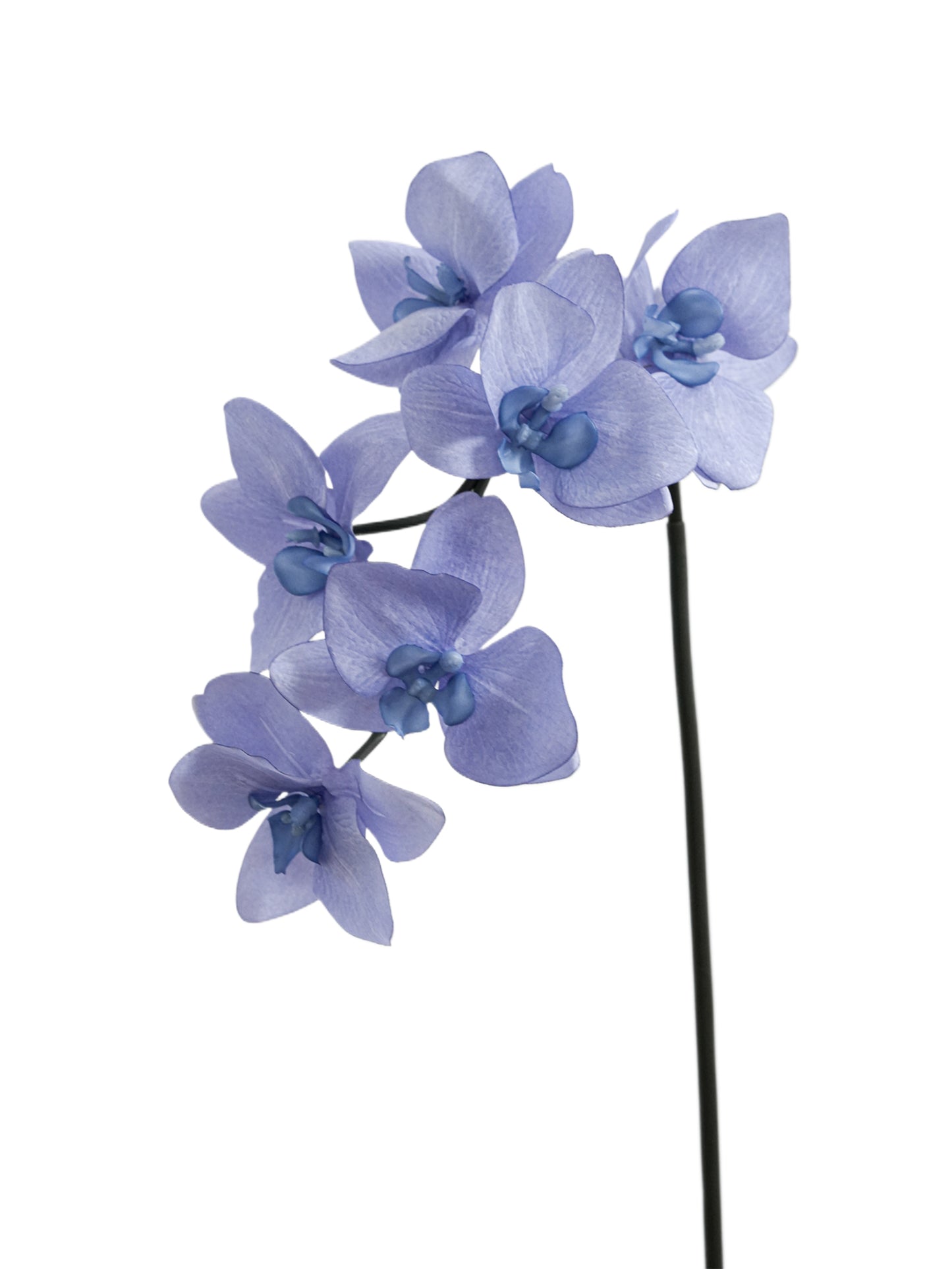 Real-touch artificial Phalaenopsis orchids-26"