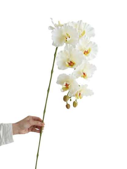 Colorful Artificial Phalaenopsis Orchids-38.5"
