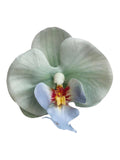 Petals of the simulated Phalaenopsis orchid -3.3"