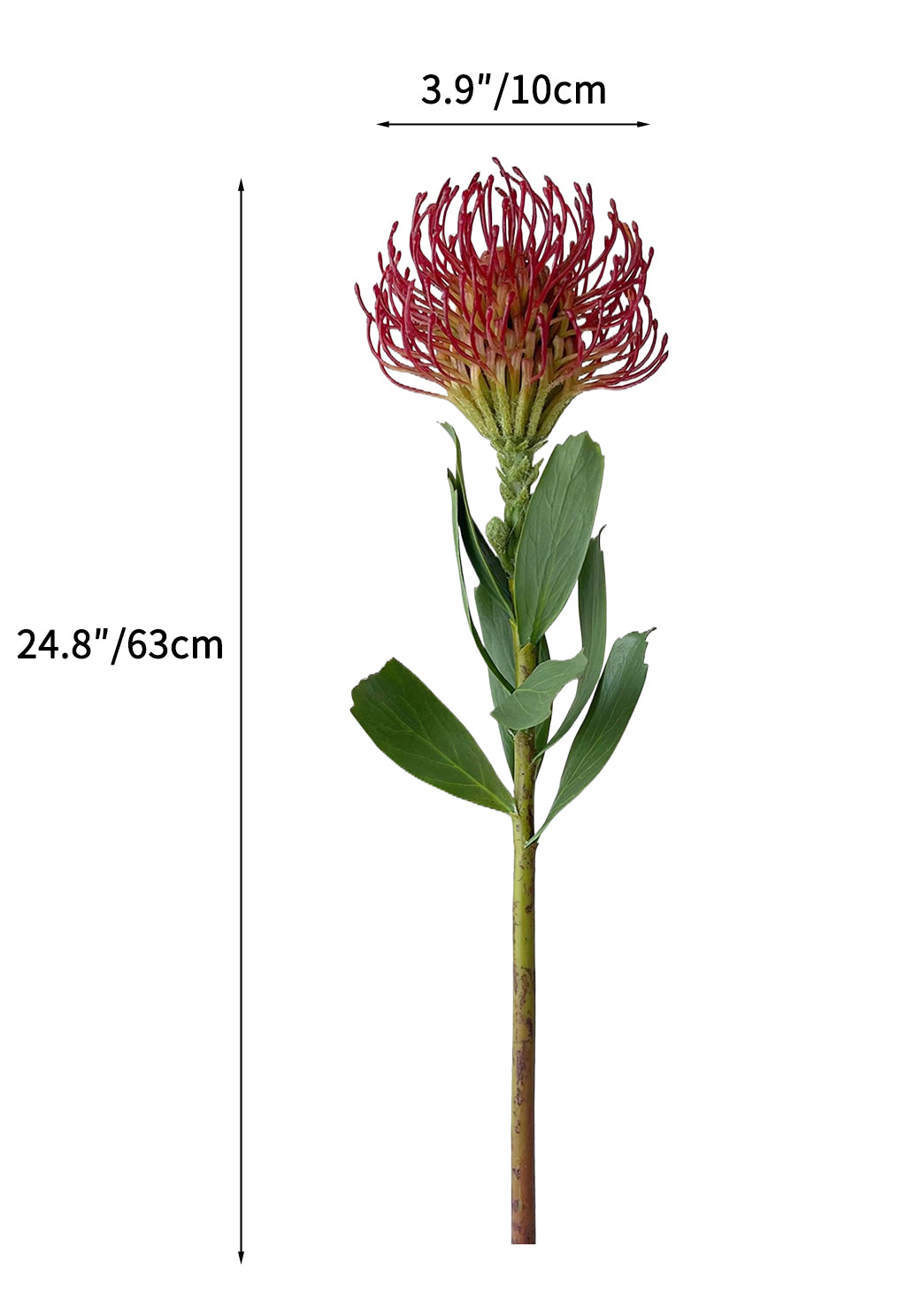 Artificial Leucospermum flower with realistic appearance-24.8"