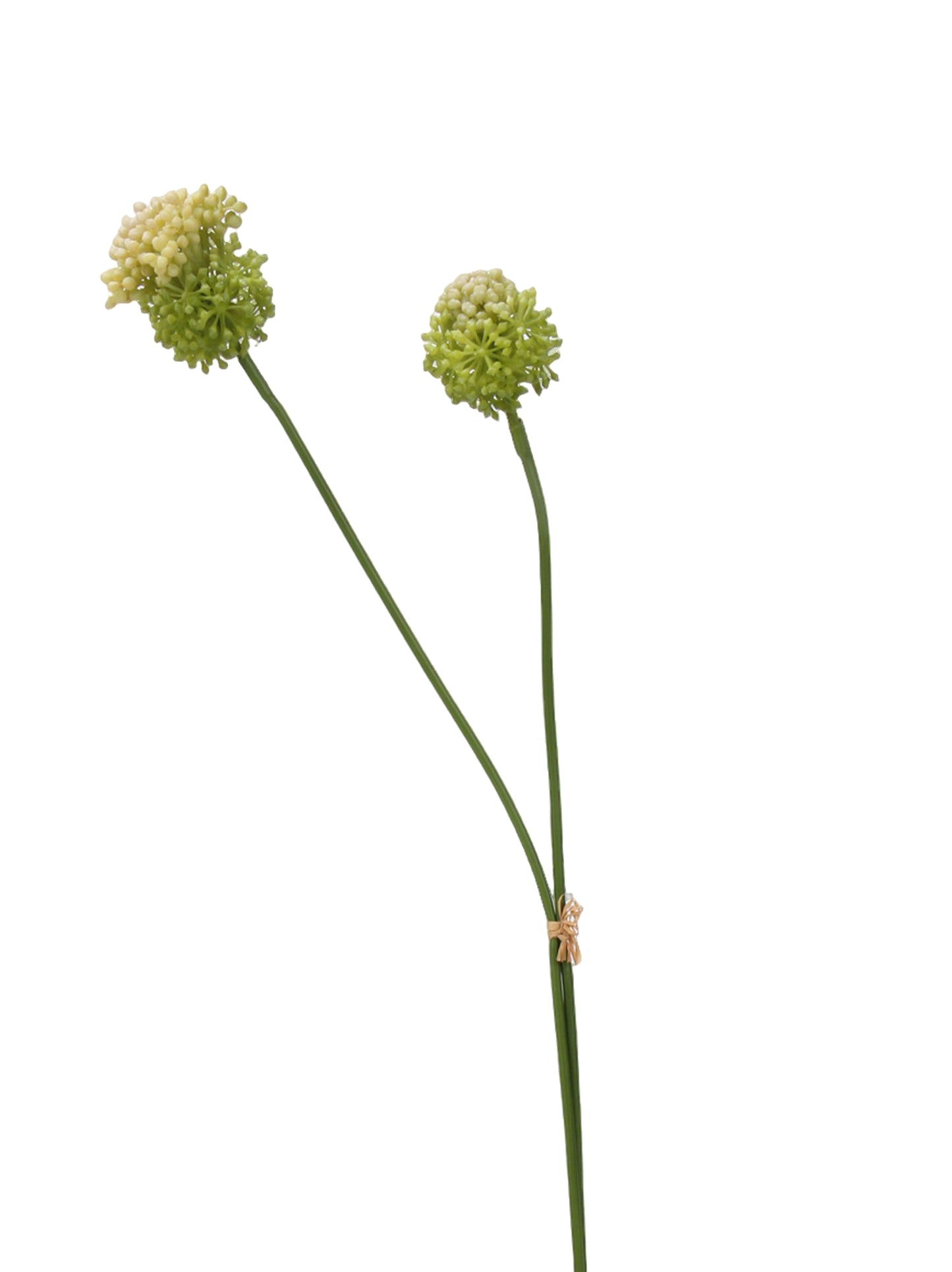 Faux Allium Bush - 27.8"