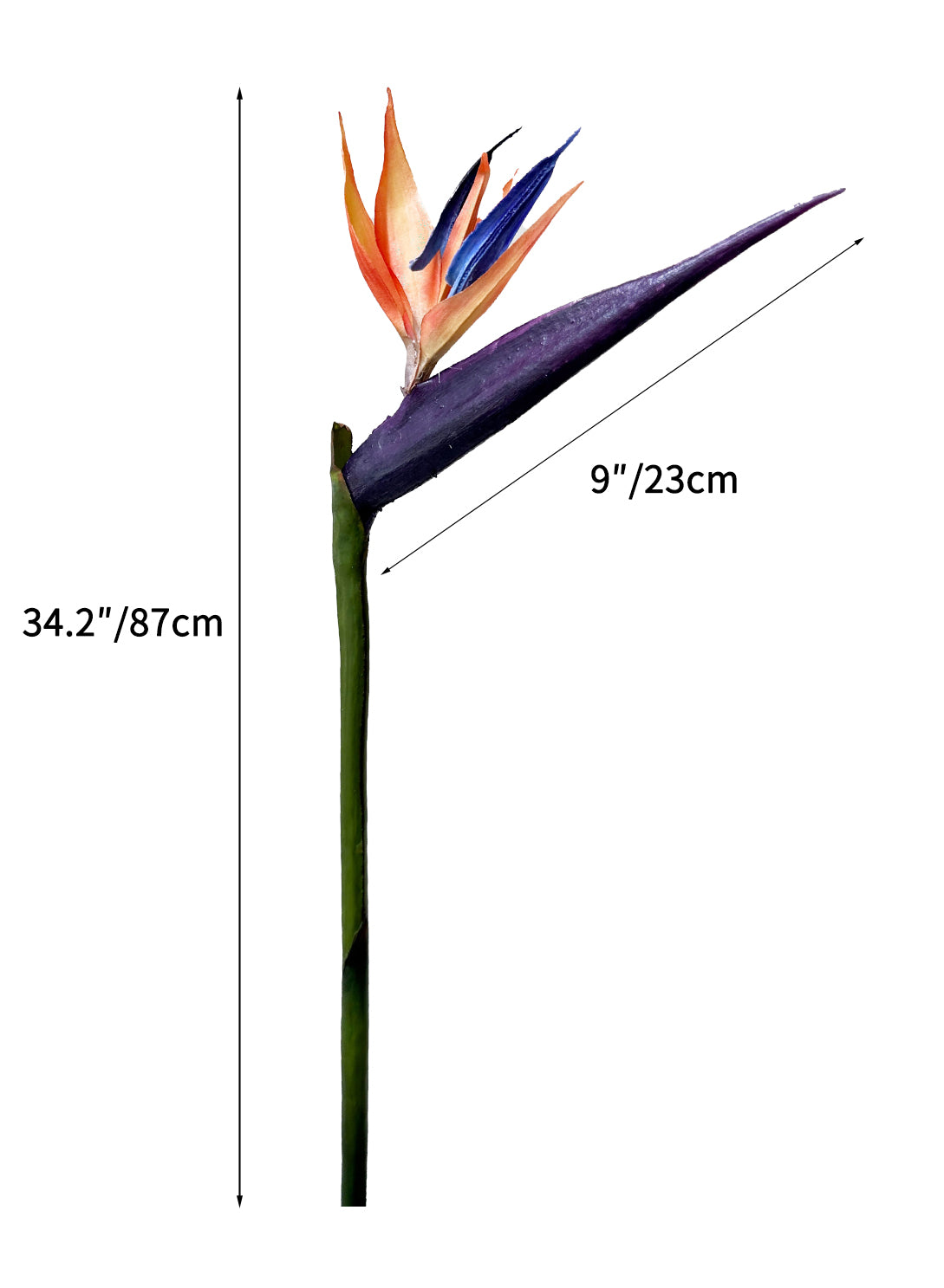 High-end Artificial Birds of Paradise Flowers -34.2"