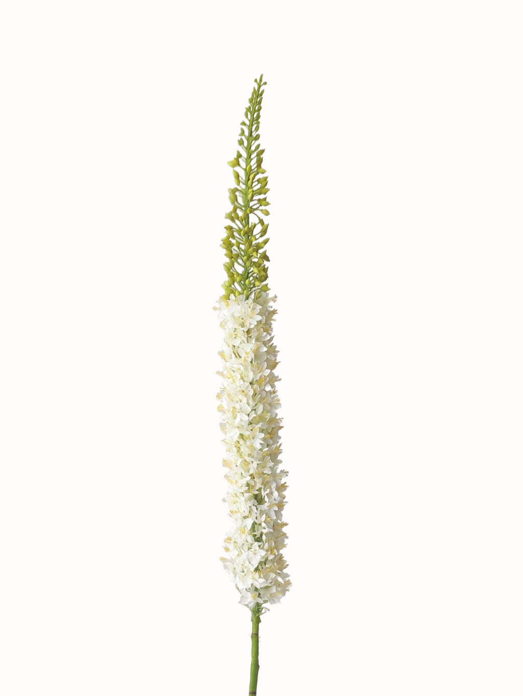 High-end Artificial Foxtail Flowers with Large Branches - 55.5"
