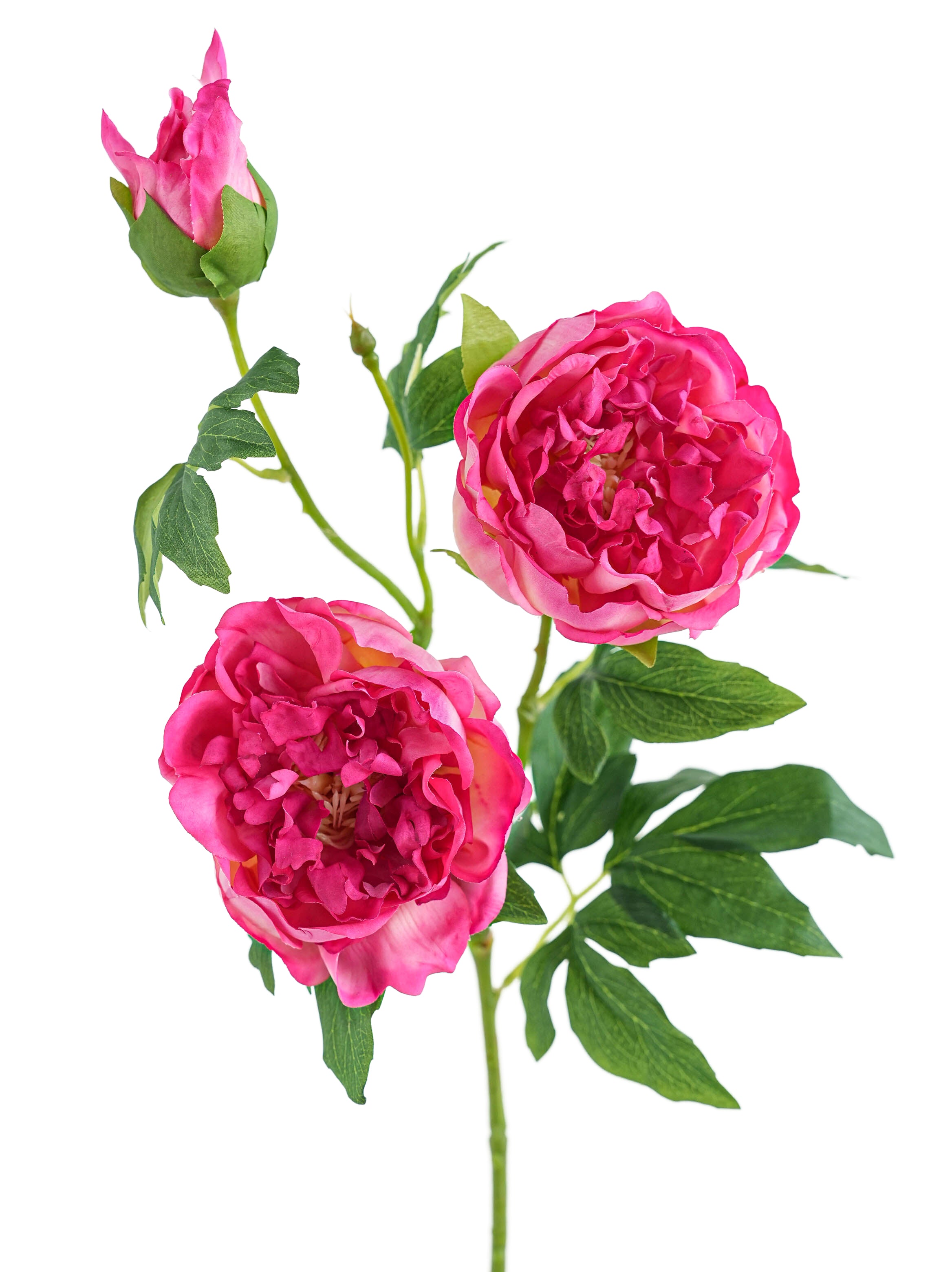 Cream Colors Faux Real Touch Peony Flower -31.8"