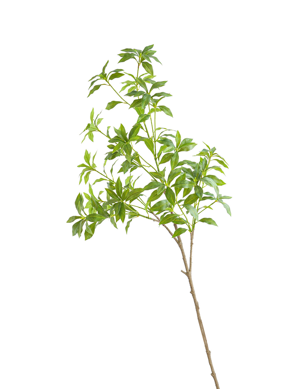 Tall Artificial Pieris japonica -49.2"