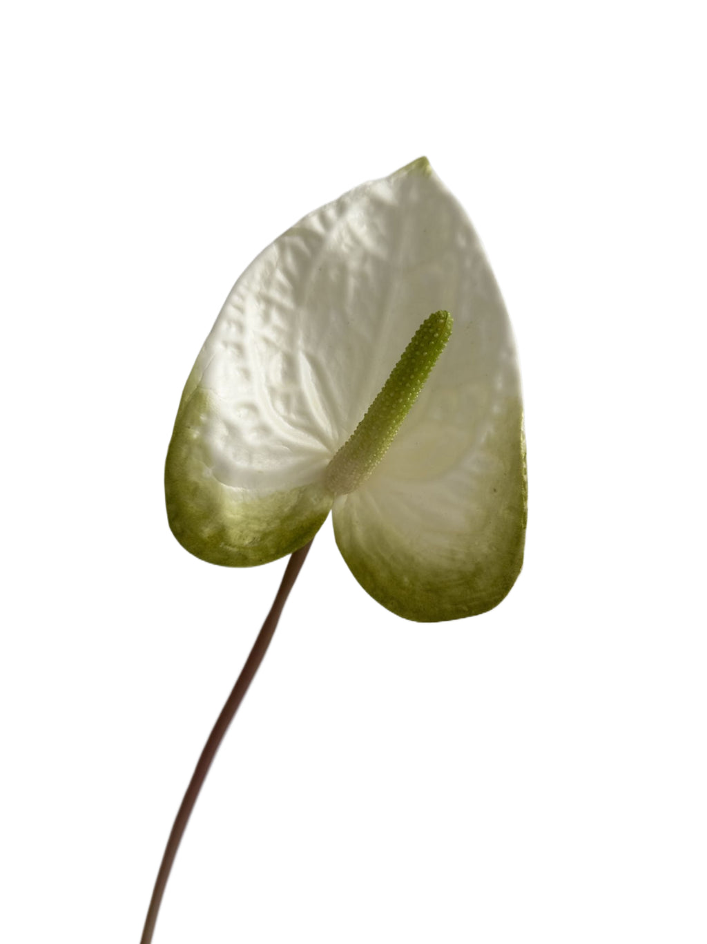 Luxurious Quality Artificial Tropical Anthurium- 23.6"