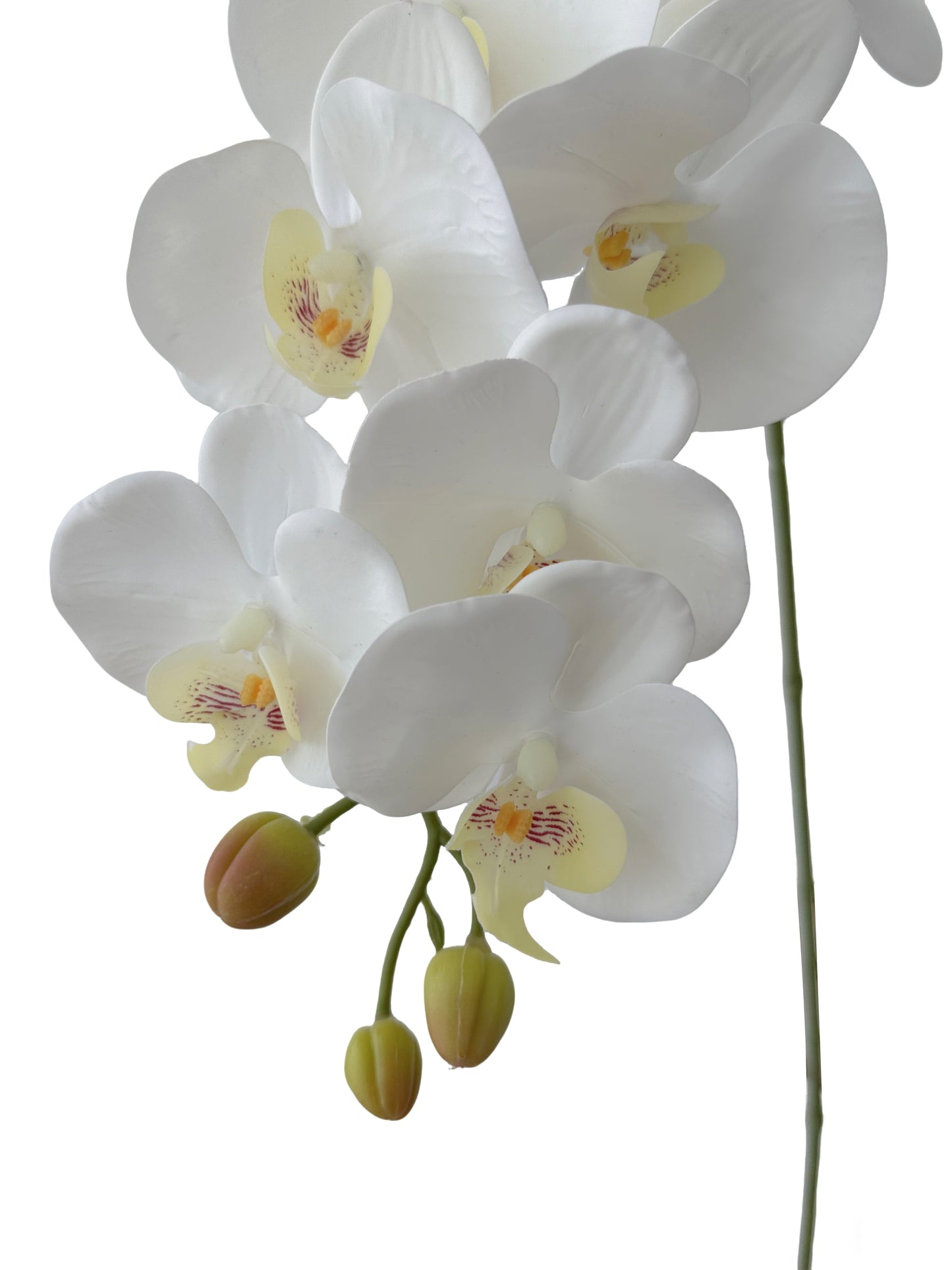 Blooming Artificial Phalaenopsis Orchids-38"